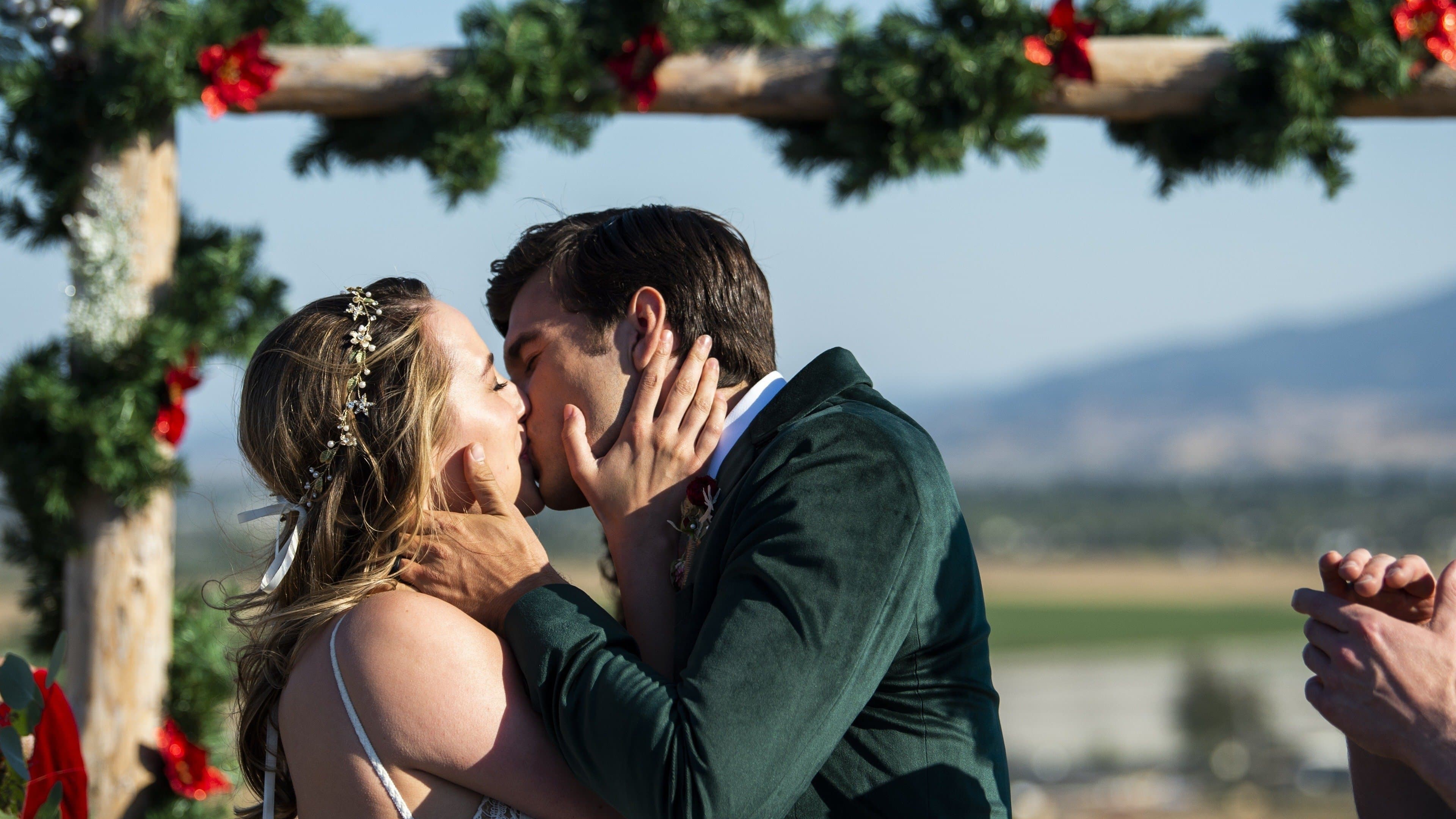 Backdrop of A California Christmas: City Lights