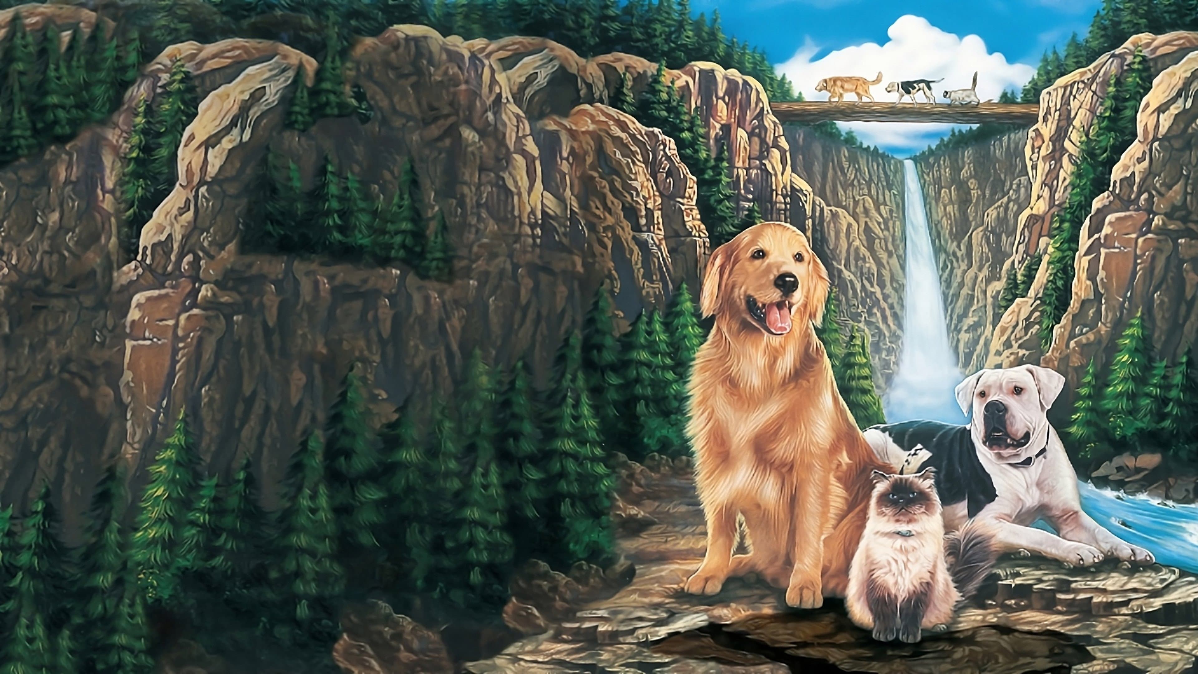 Backdrop of Homeward Bound Collection