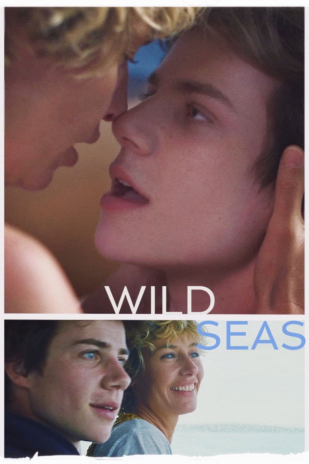 Poster of Wild Seas