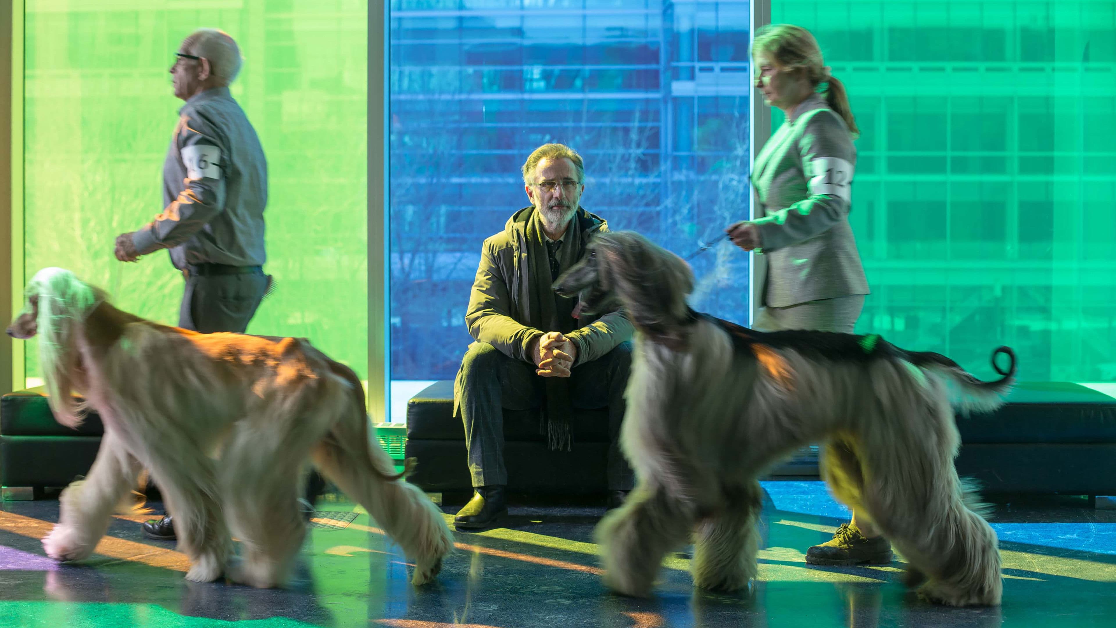 Backdrop of The New Life of Paul Sneijder