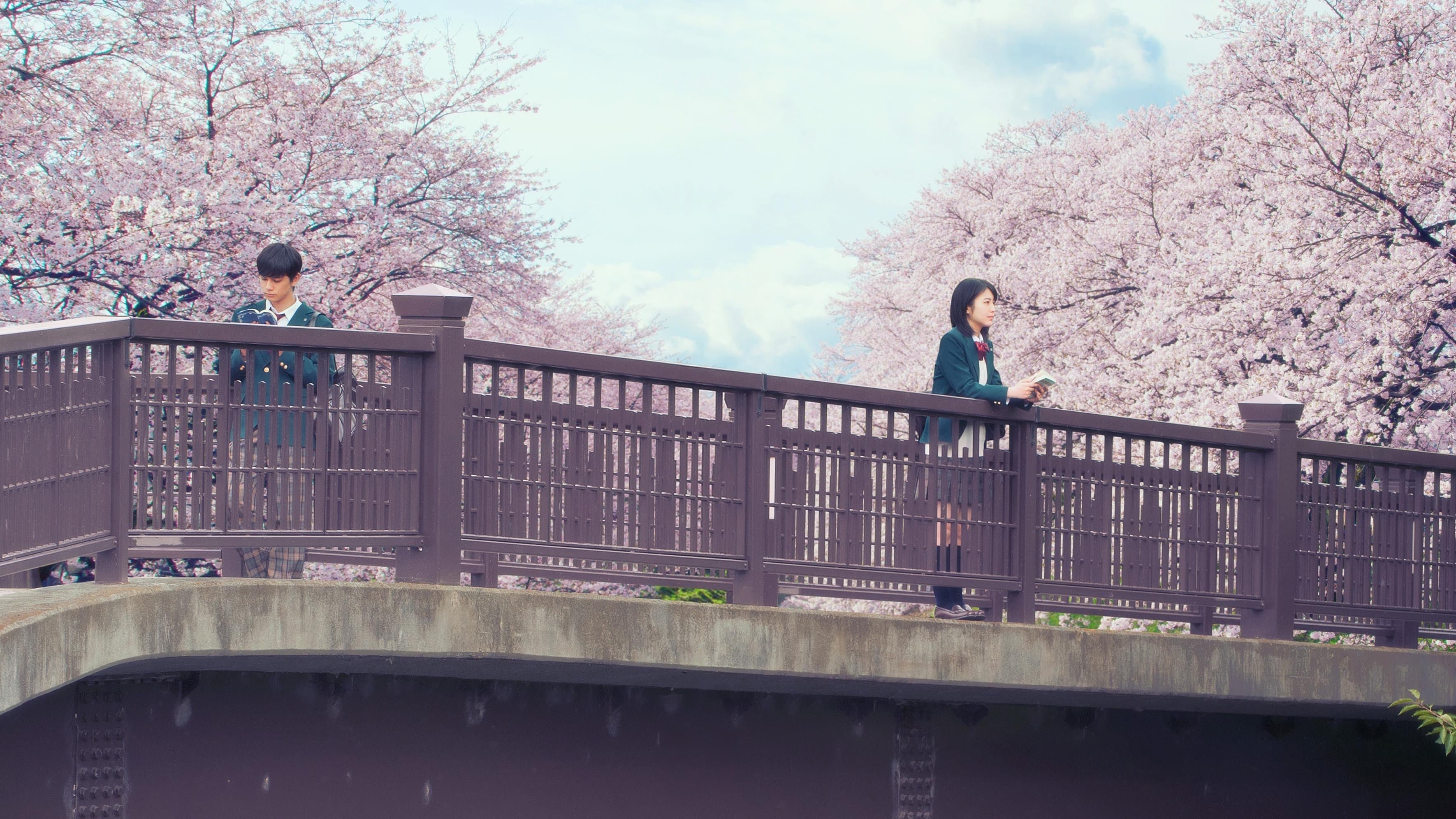 Backdrop of Let Me Eat Your Pancreas