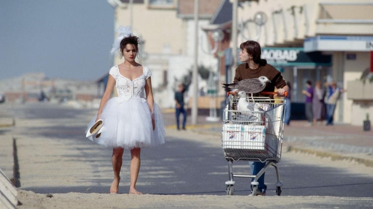 Backdrop of Thank You, Life