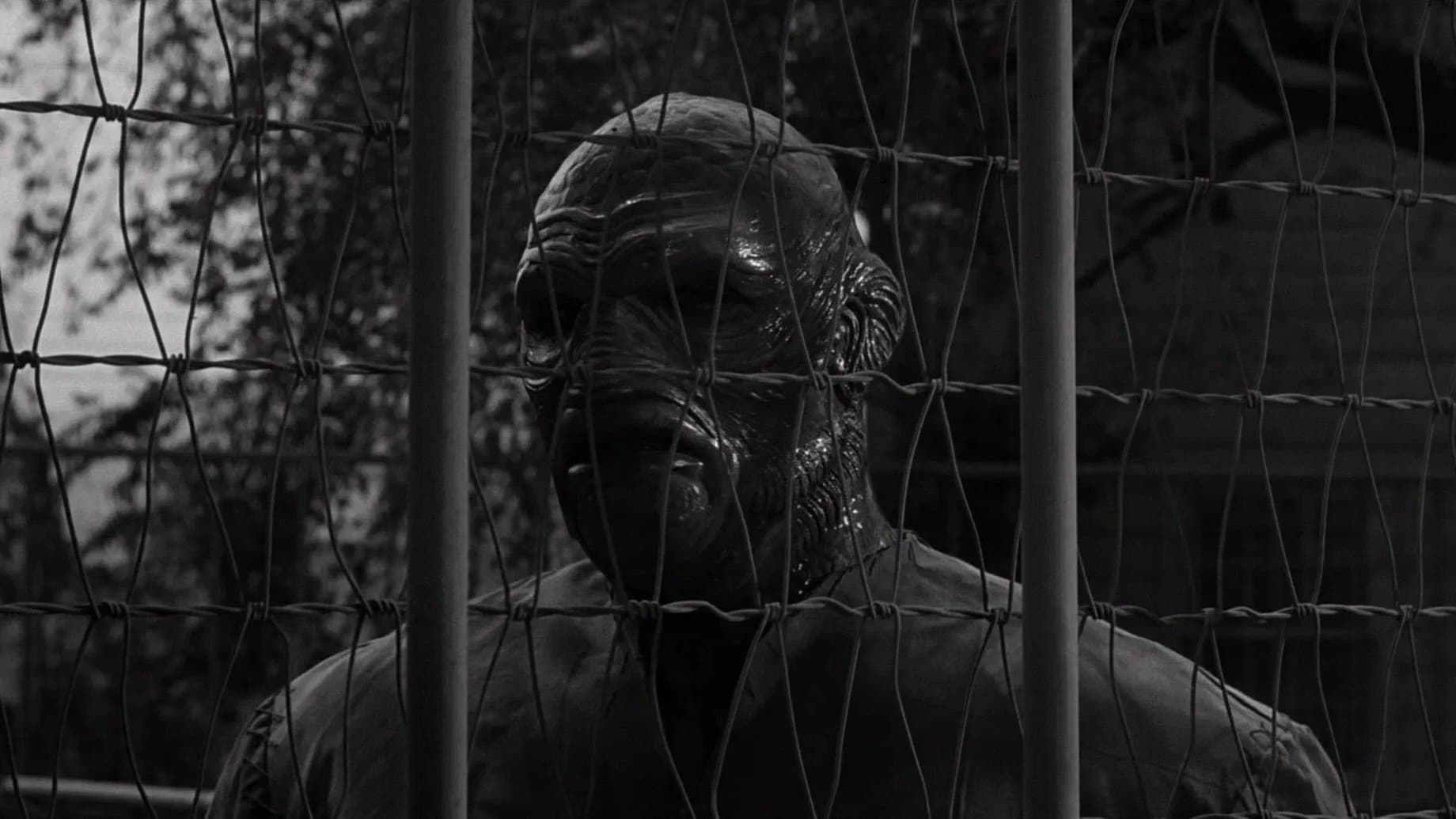 Backdrop of The Creature Walks Among Us