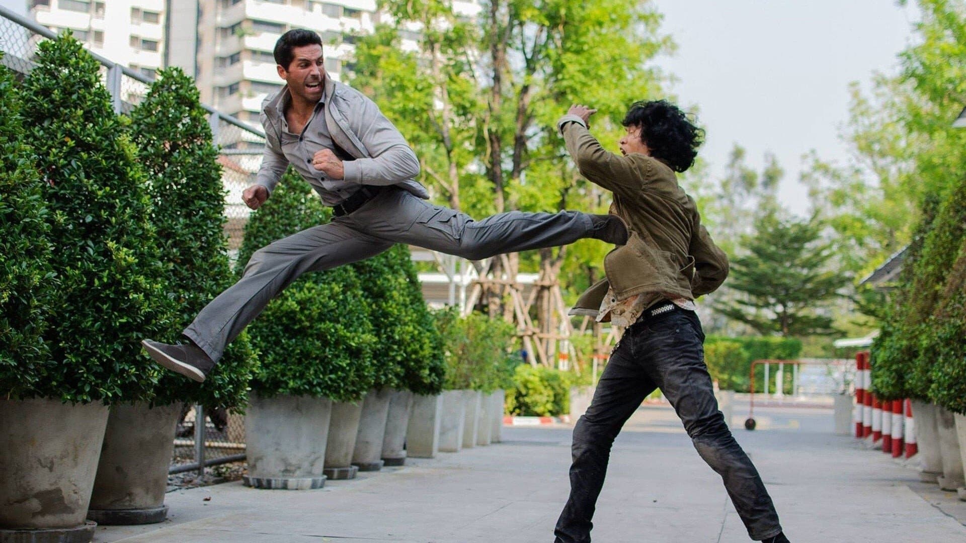 Backdrop of Ninja Collection