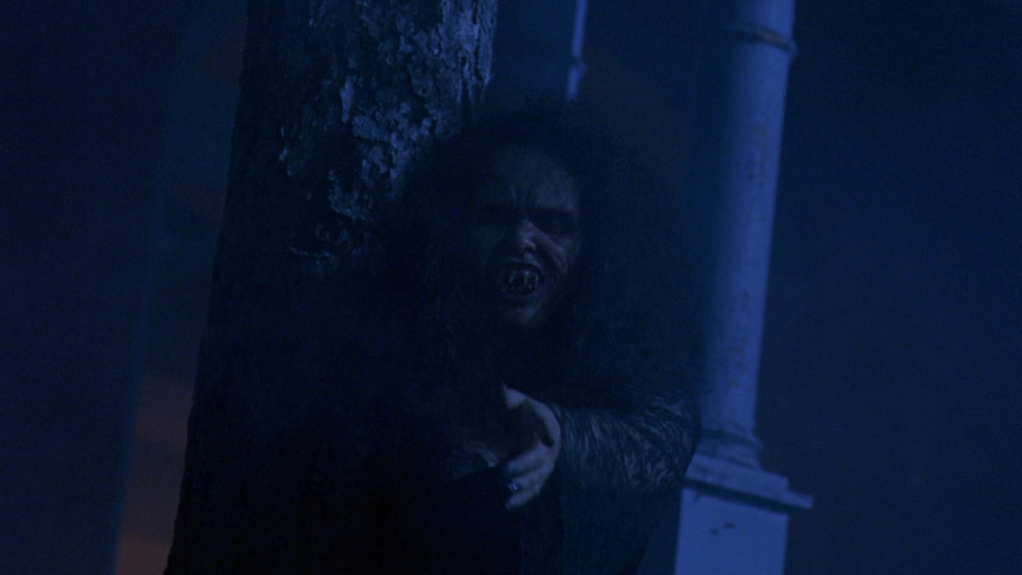 Backdrop of Night of the Demons III