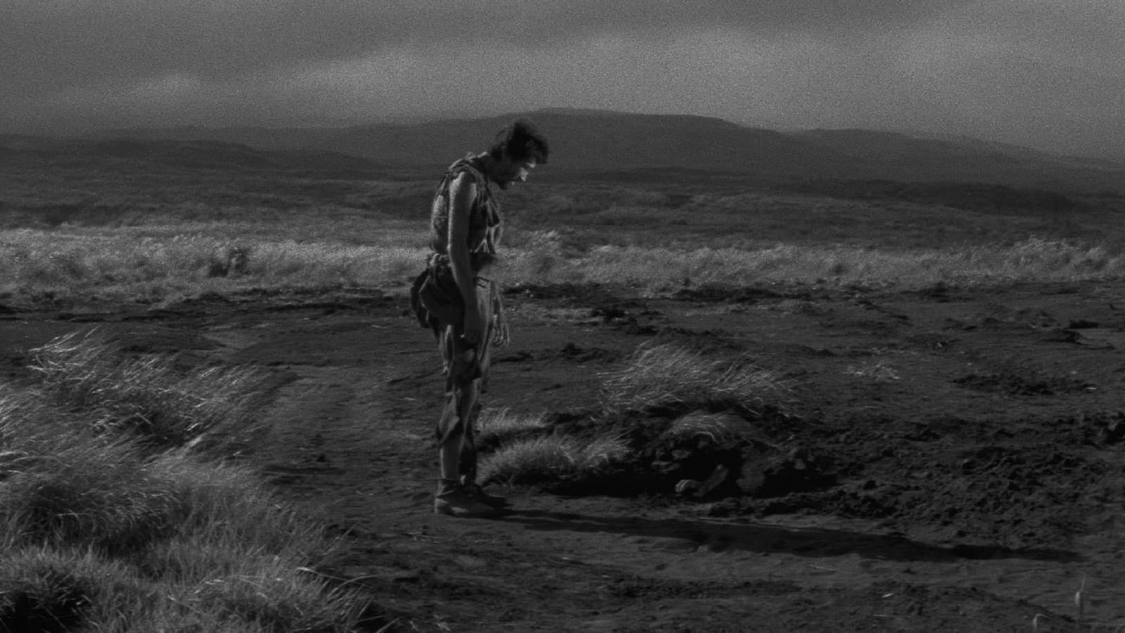 Backdrop of Fires on the Plain