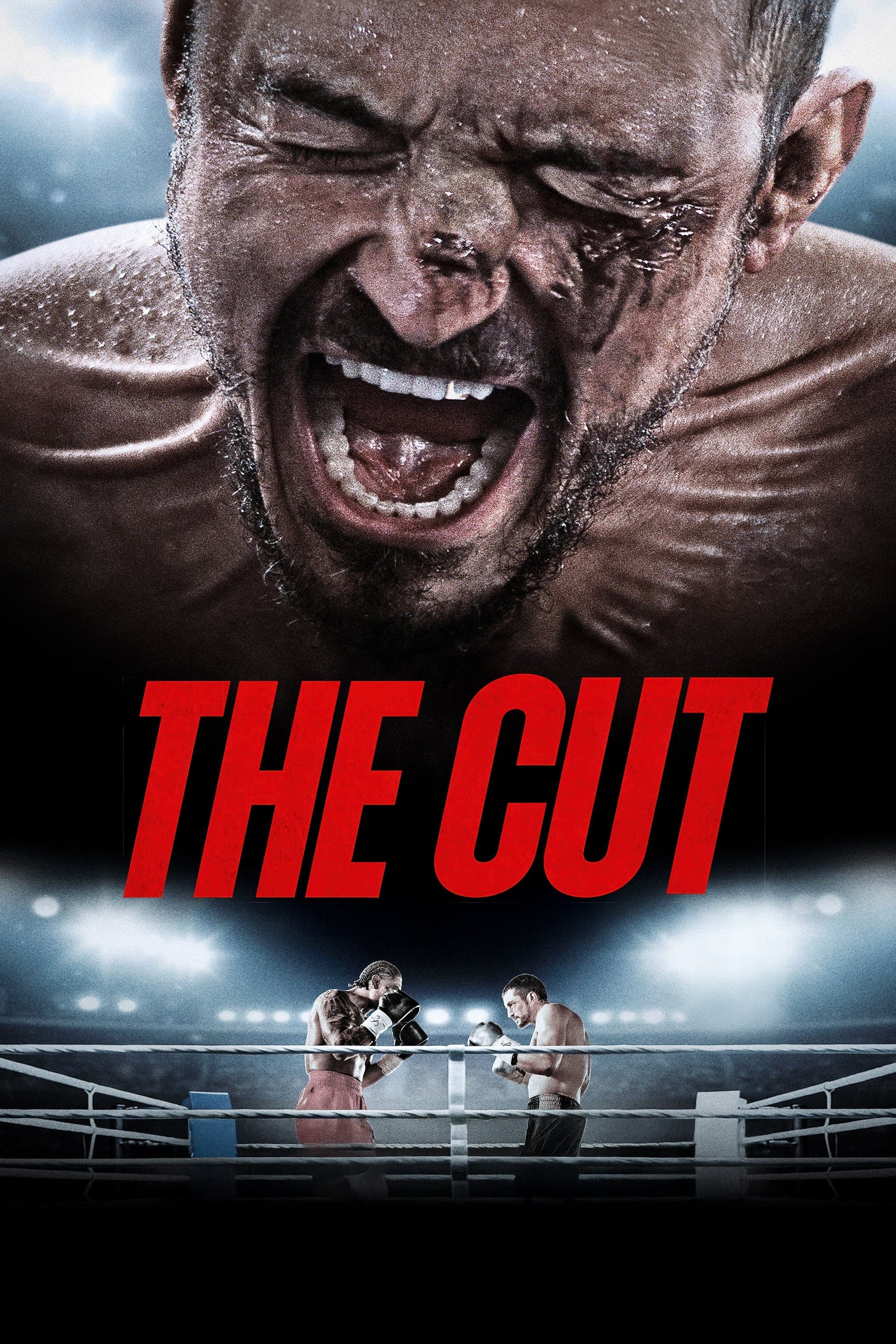 Poster of The Cut
