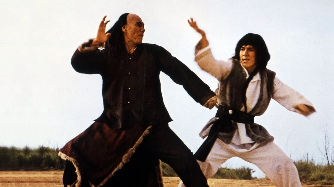 Backdrop of Snake & Crane Arts of Shaolin