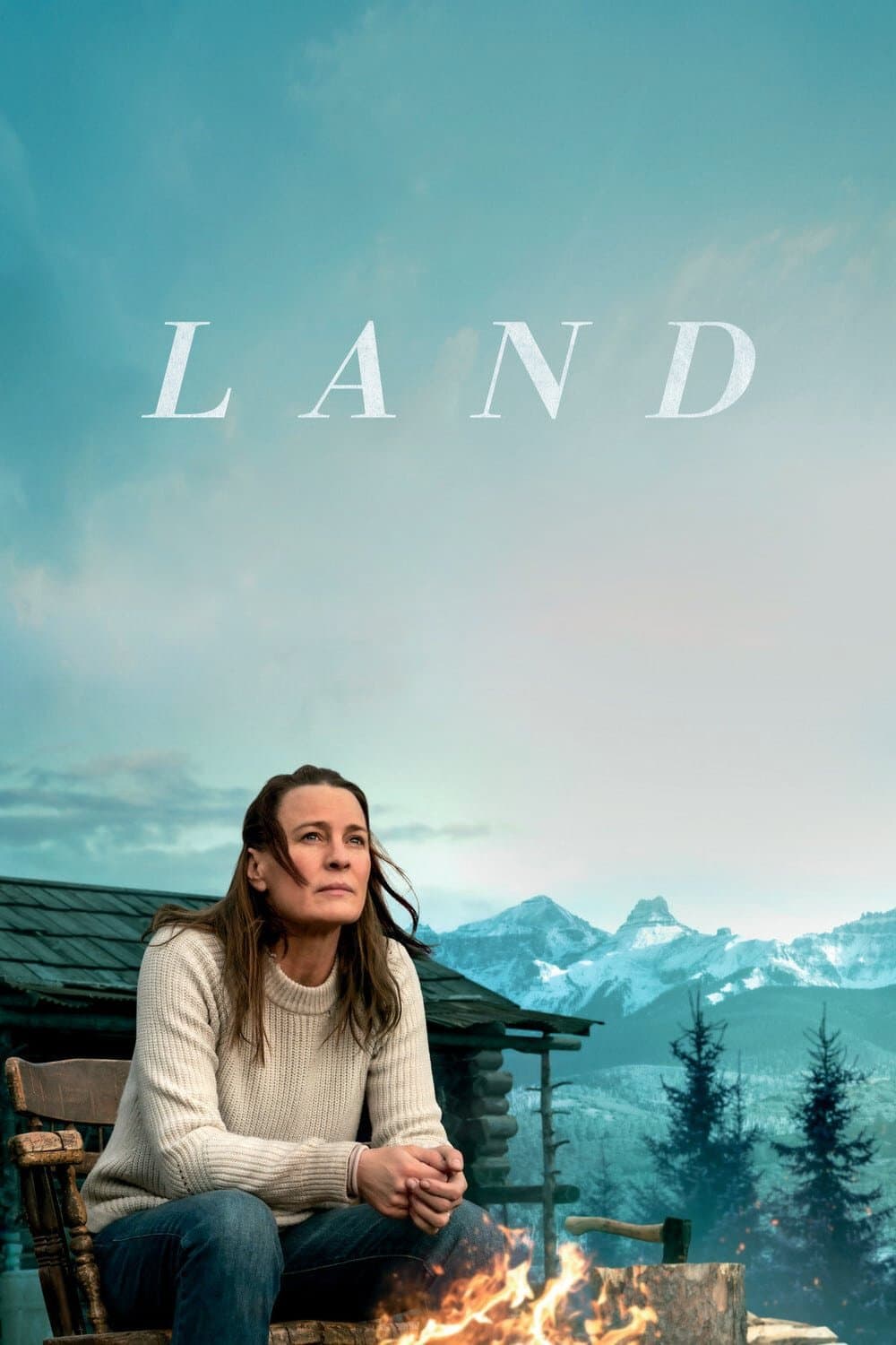 Poster of Land