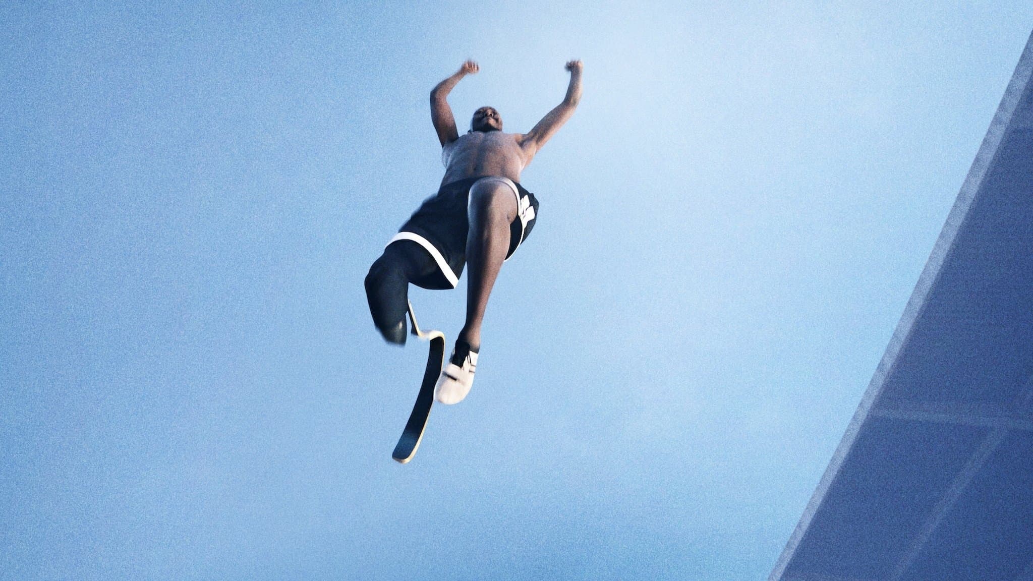 Backdrop of Rising Phoenix