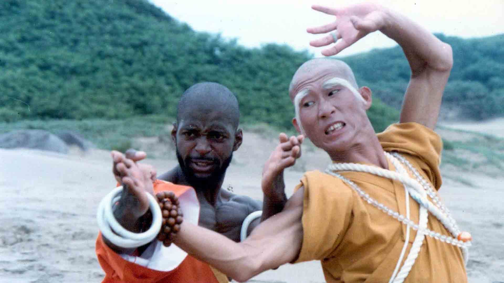 Backdrop of Shaolin Dolemite