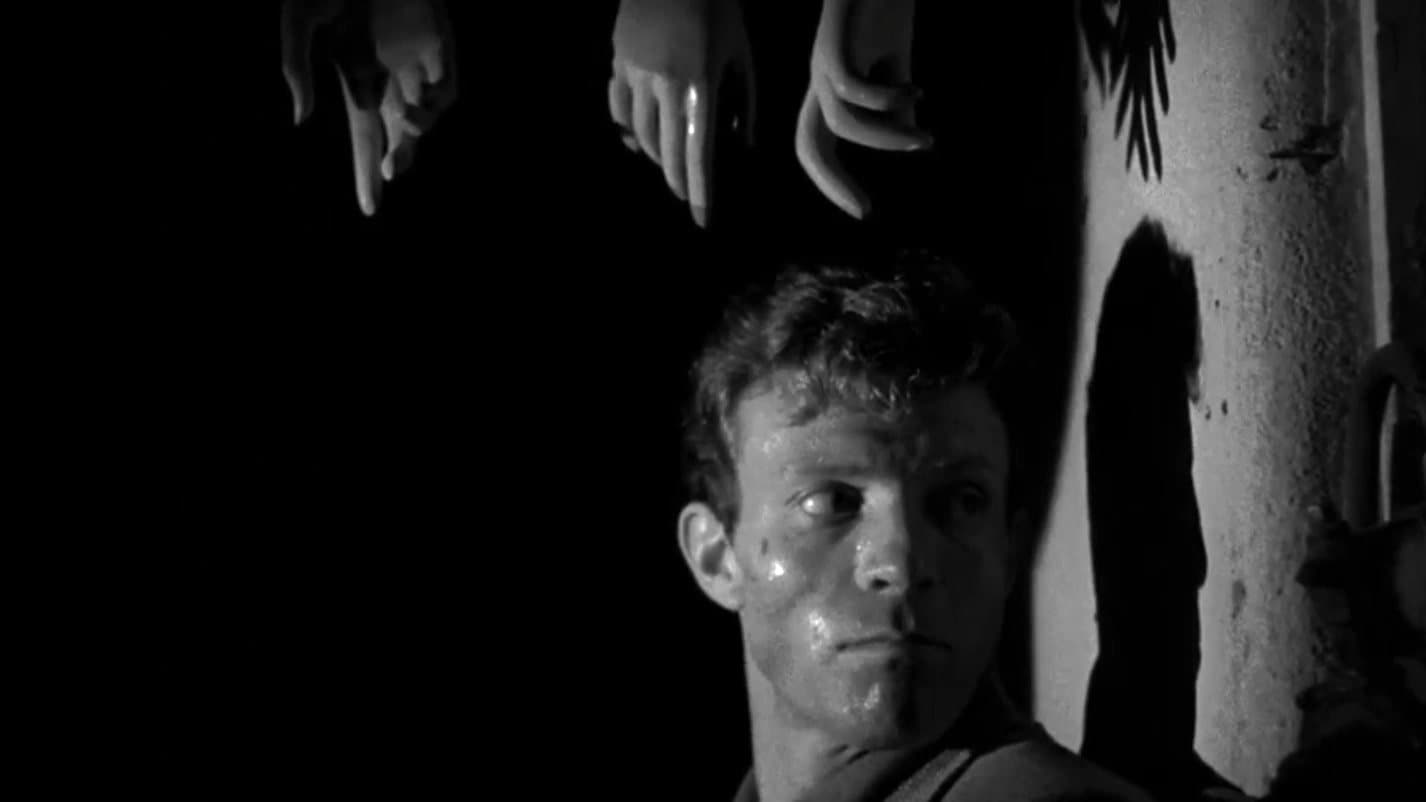 Backdrop of Killer's Kiss