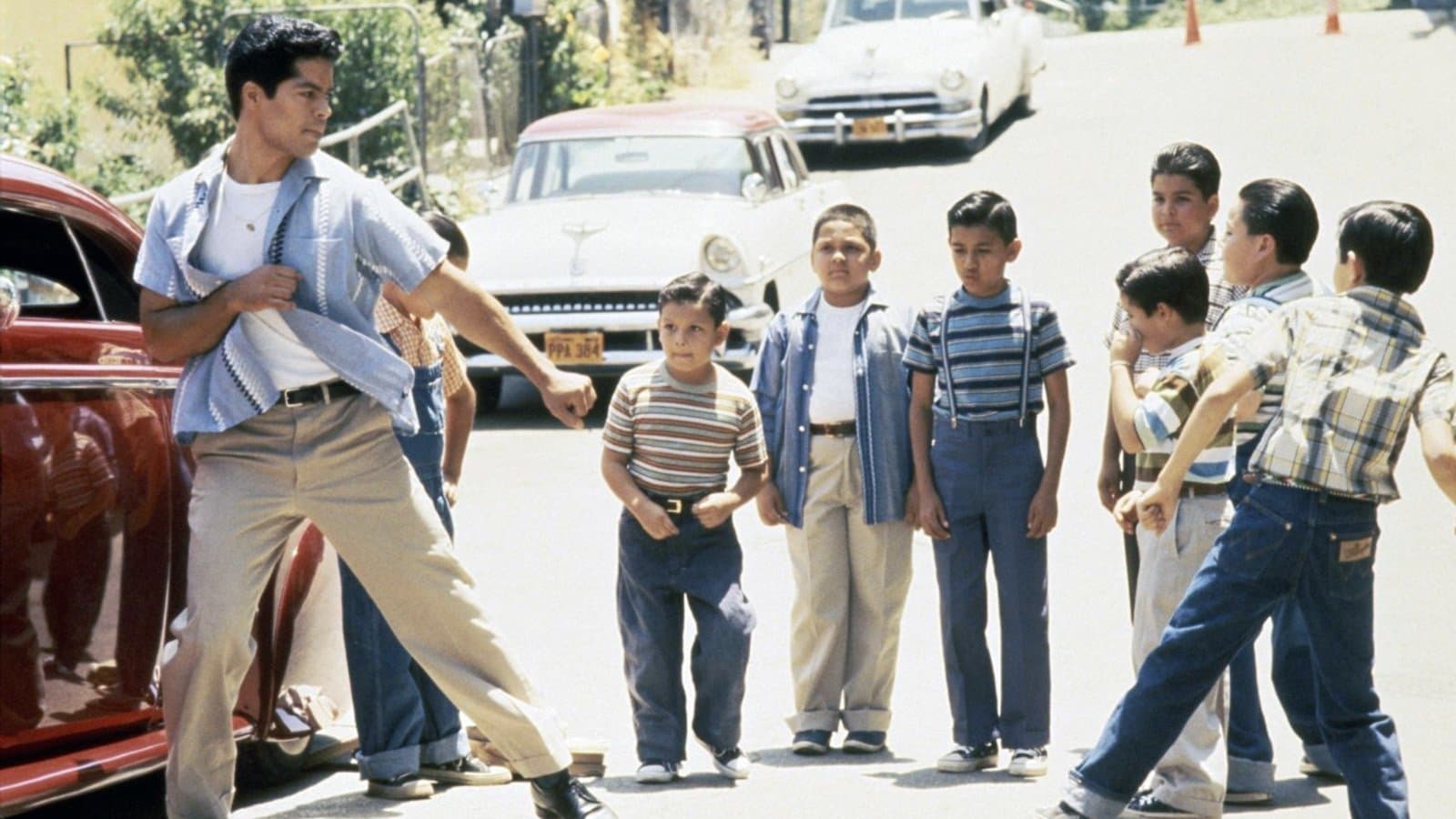 Backdrop of My Family