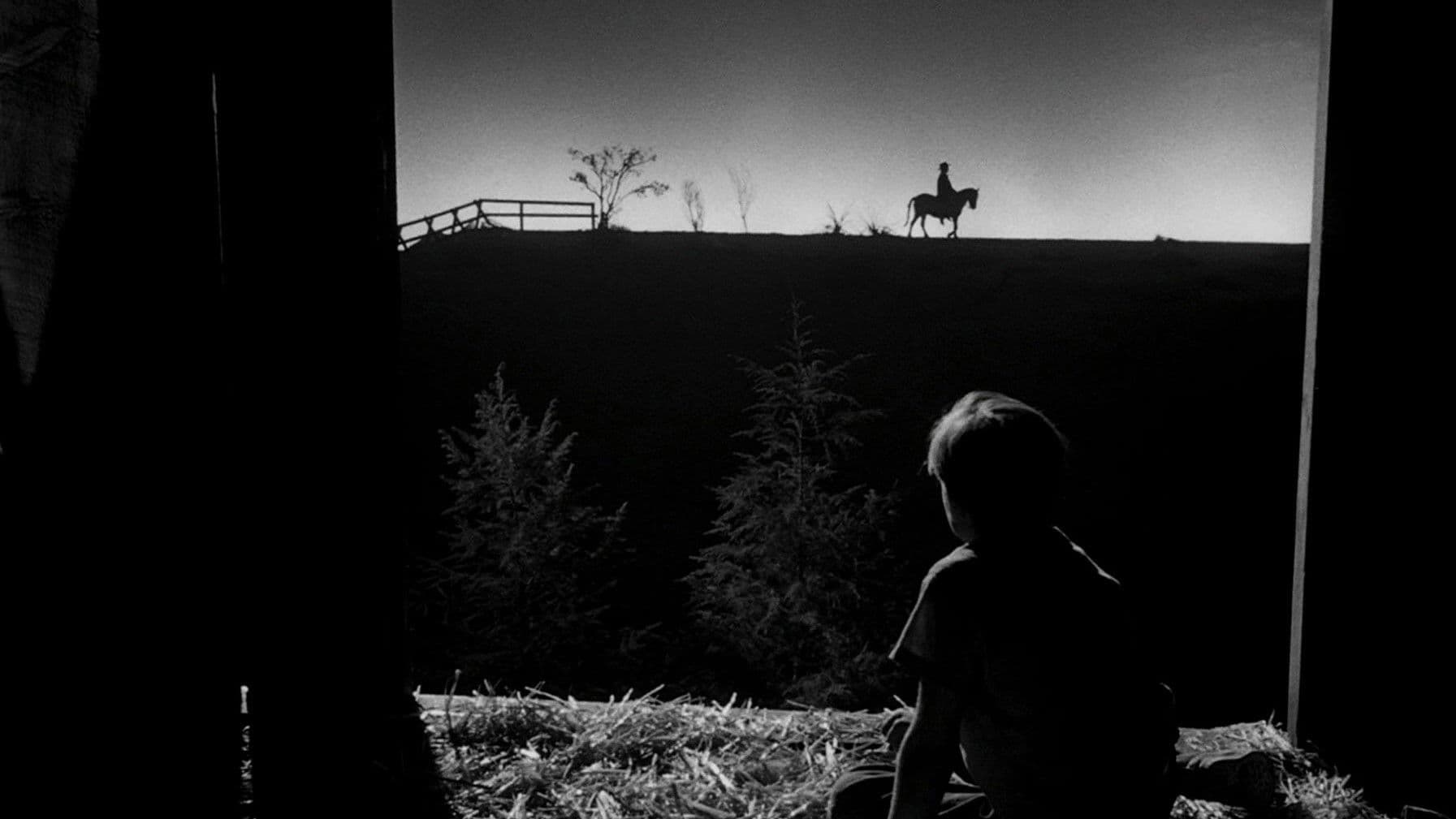 Backdrop of The Night of the Hunter