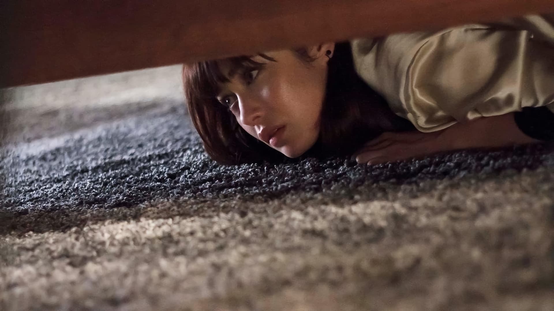 Backdrop of Momentum