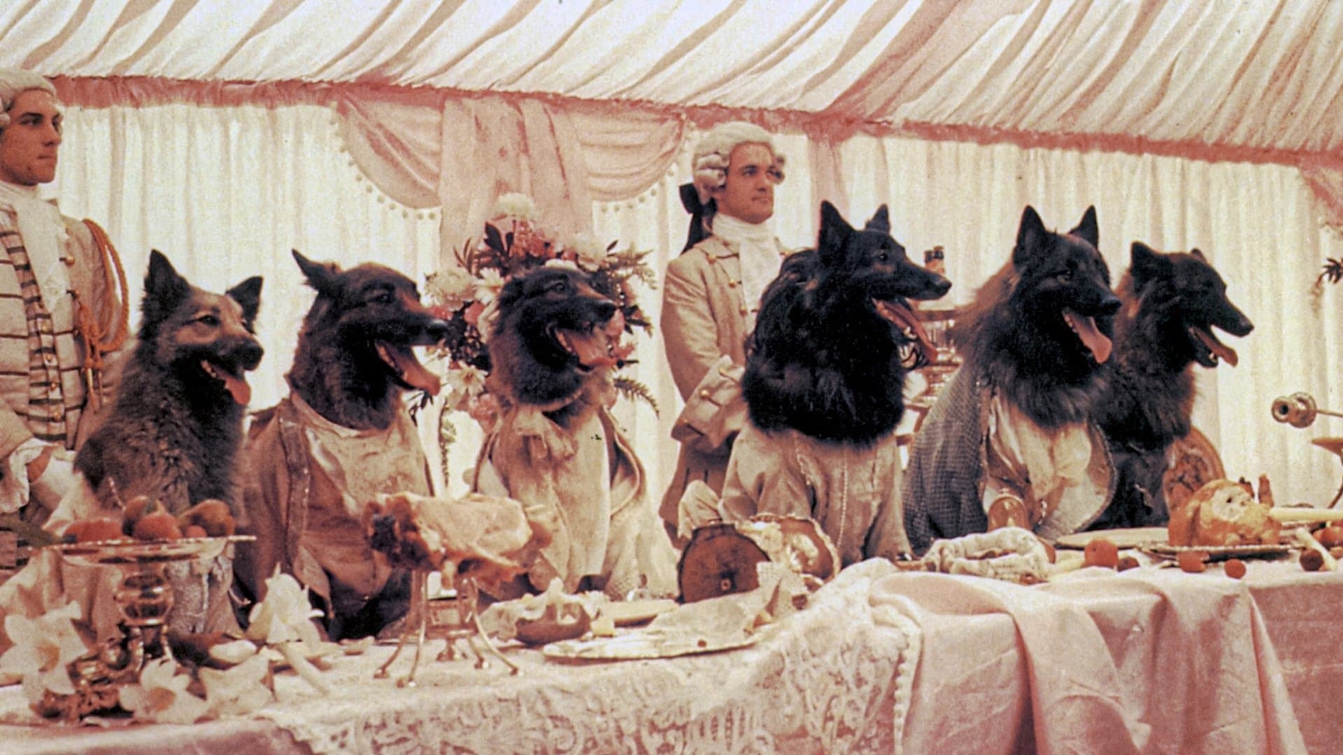 Backdrop of The Company of Wolves