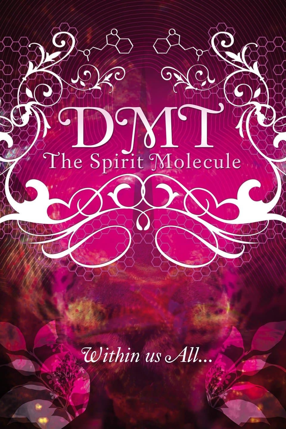 Poster of DMT: The Spirit Molecule