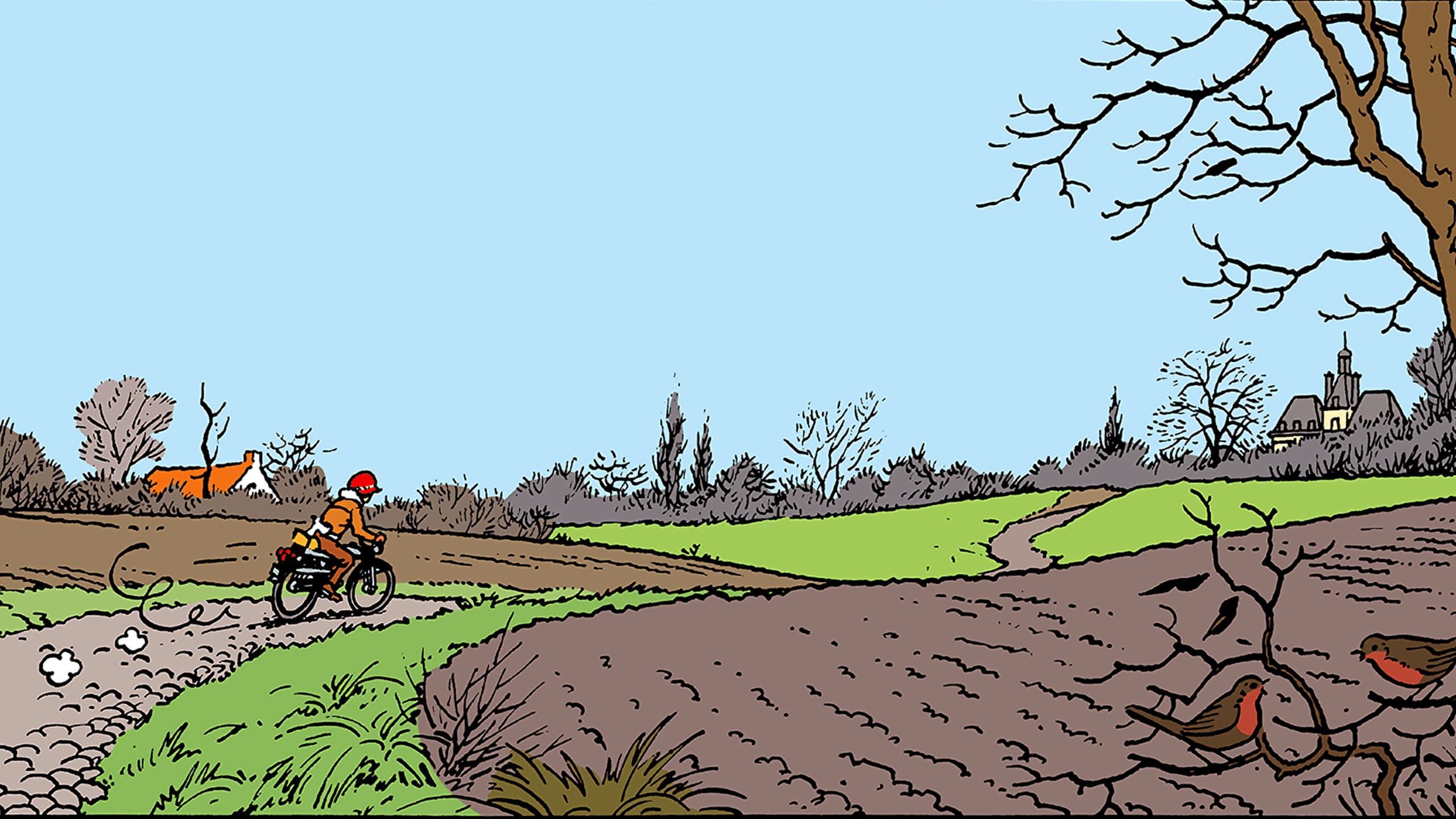 Backdrop of Tintin and the Picaros