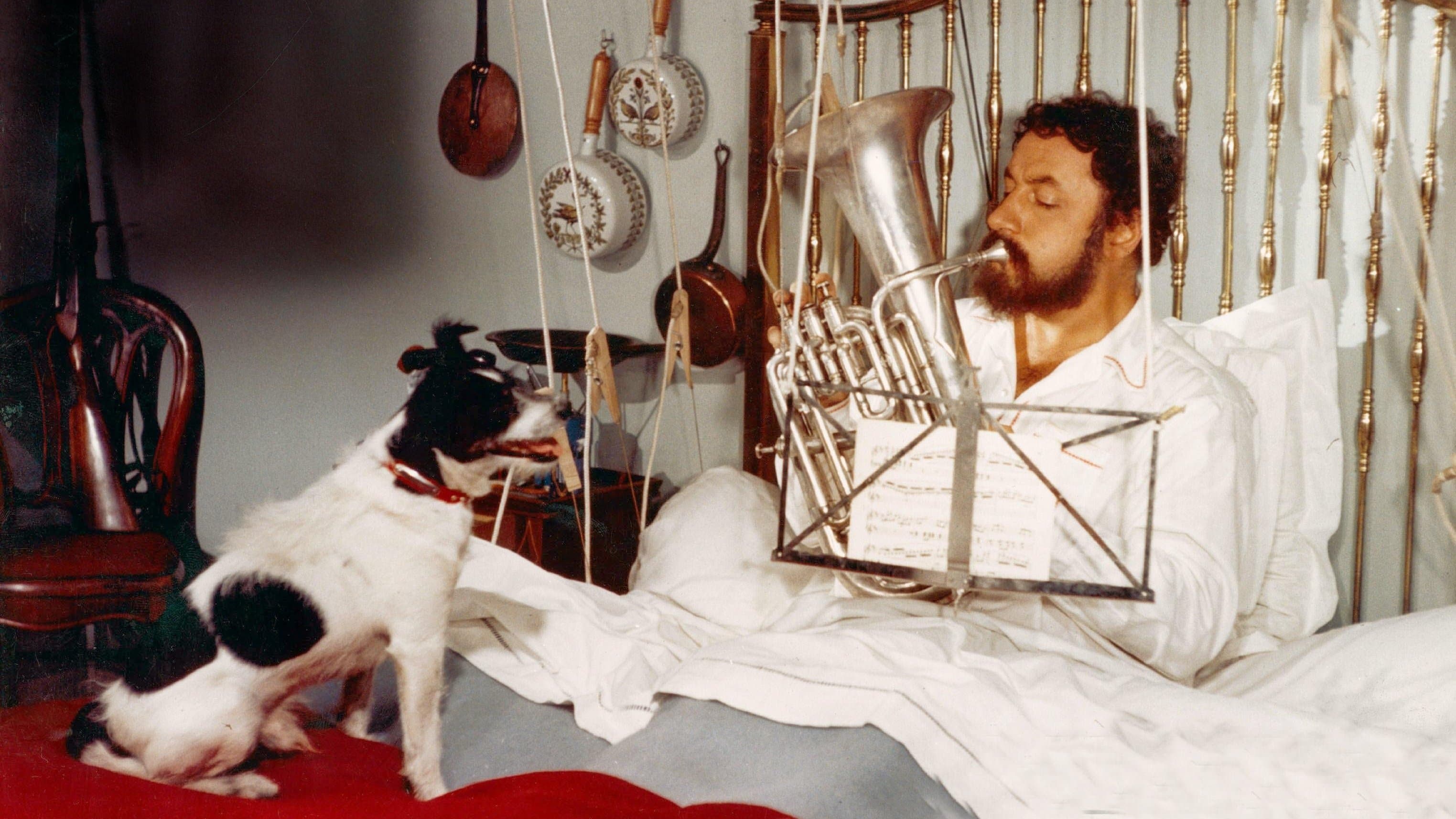 Backdrop of Very Happy Alexander