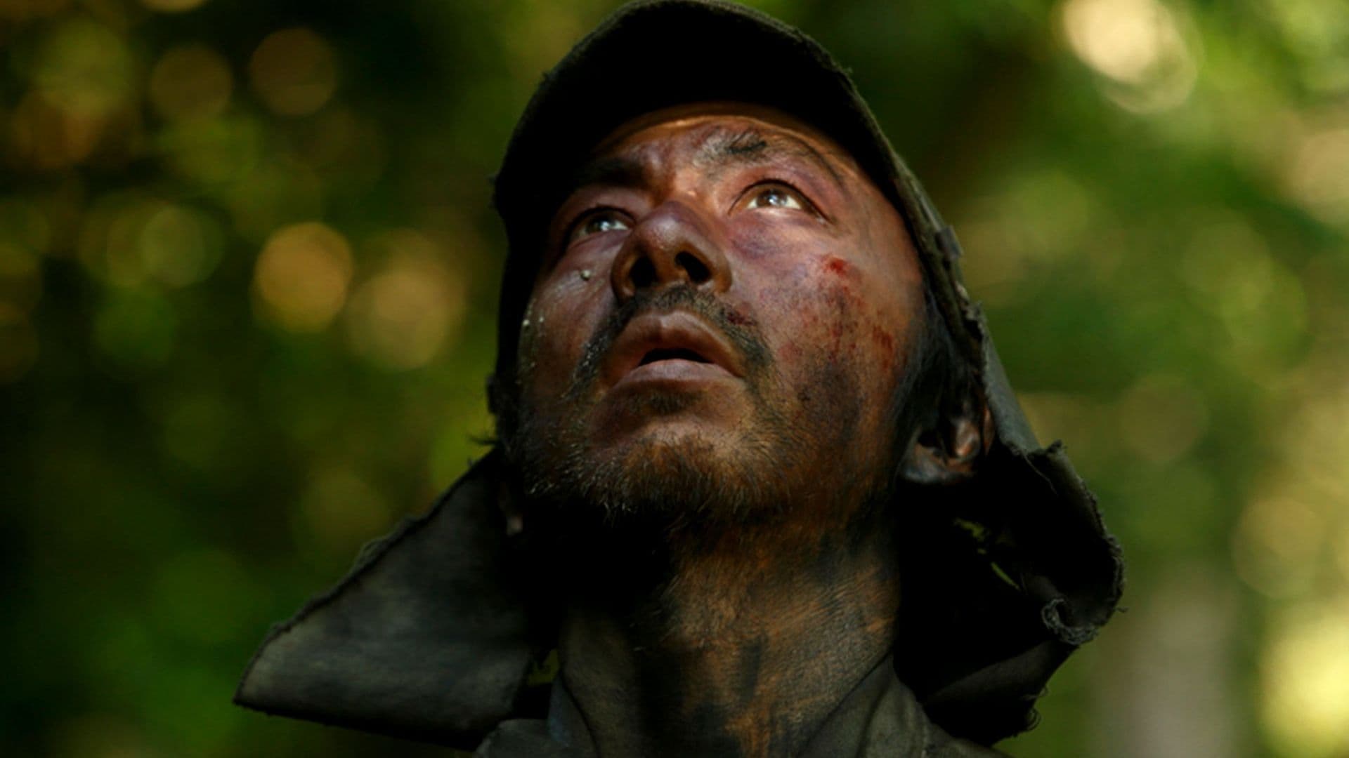 Backdrop of Fires on the Plain