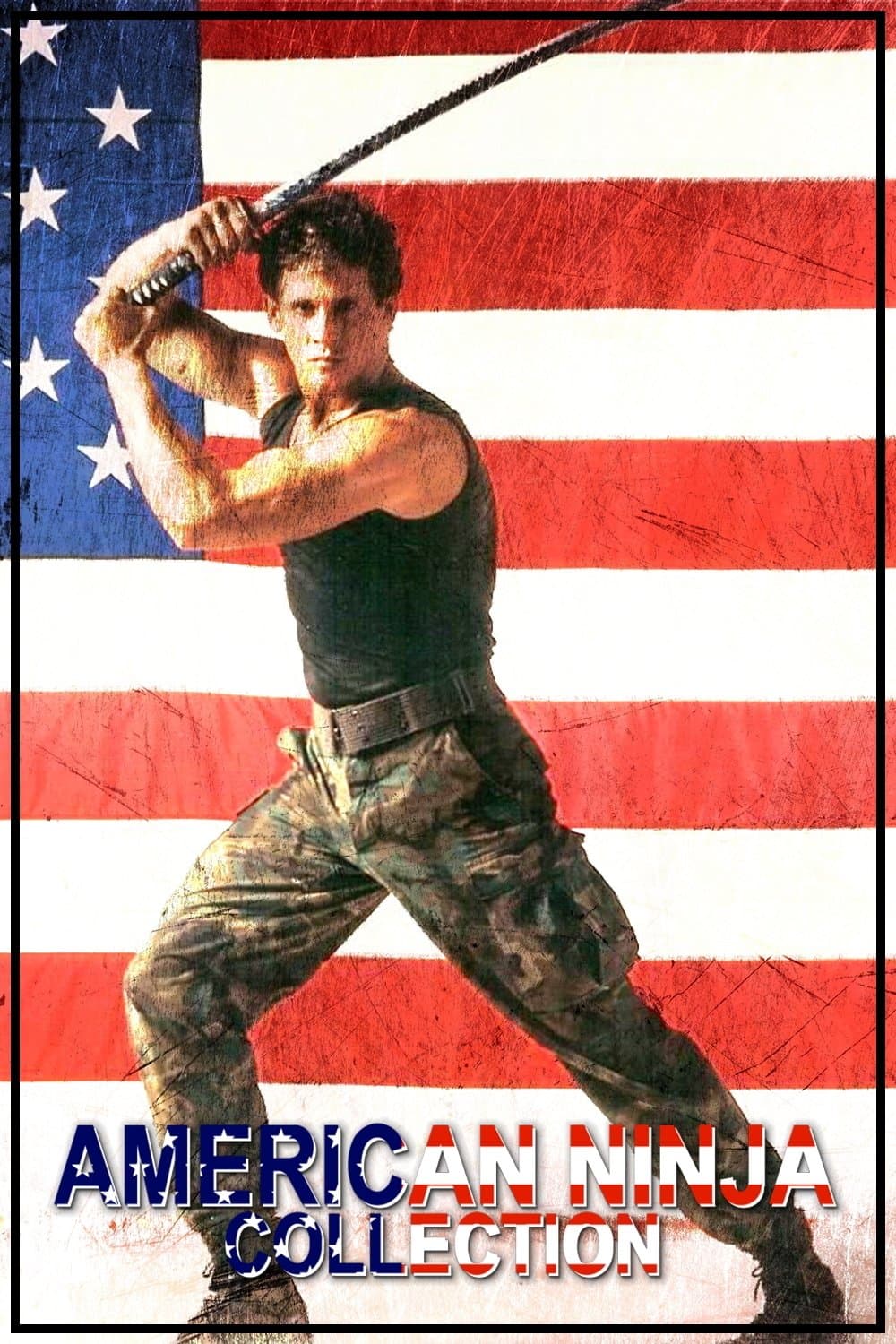 Poster of American Ninja Collection