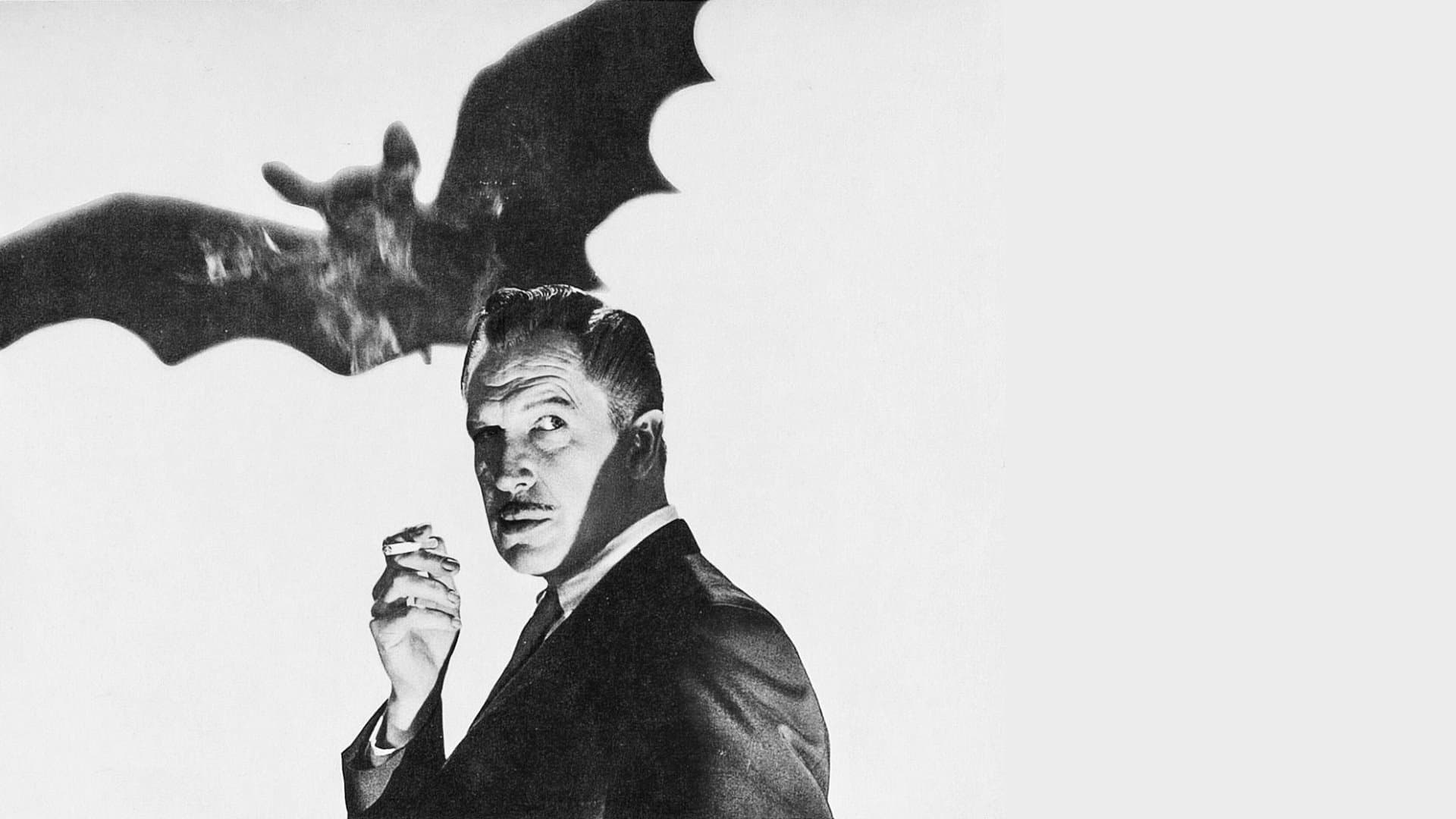 Backdrop of The Bat
