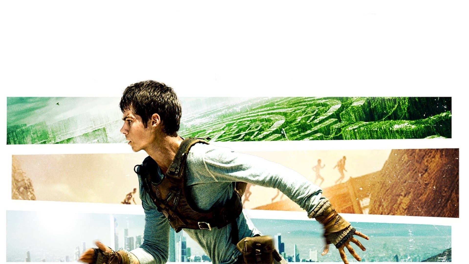 Backdrop of The Maze Runner Collection