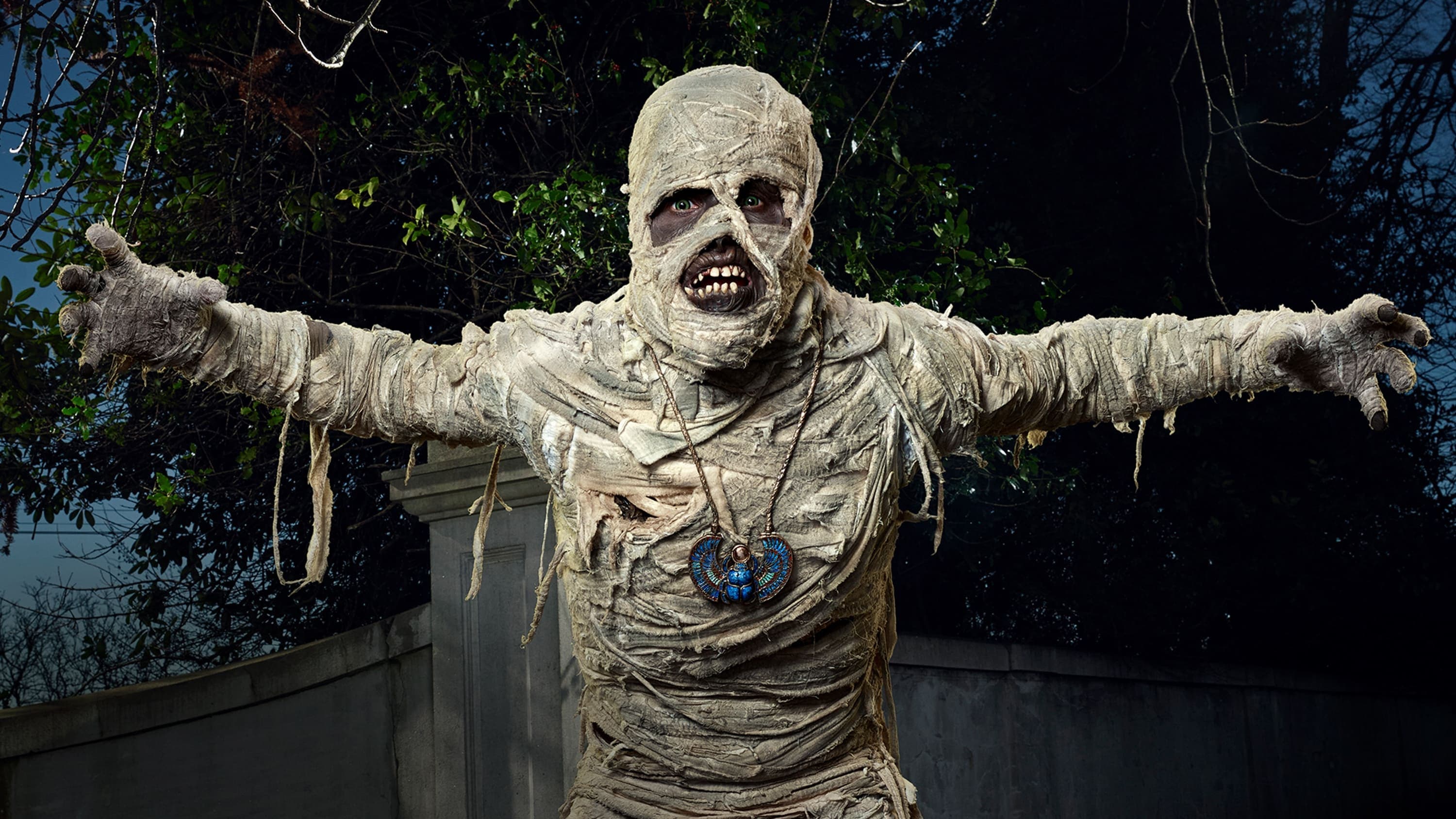 Backdrop of Under Wraps Collection