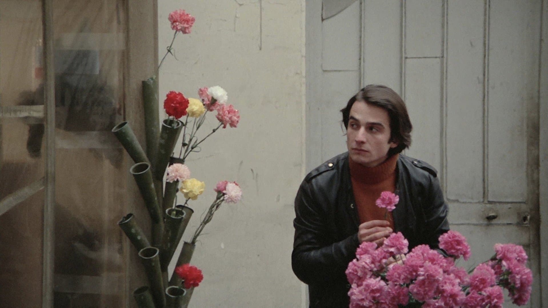 Backdrop of Bed and Board