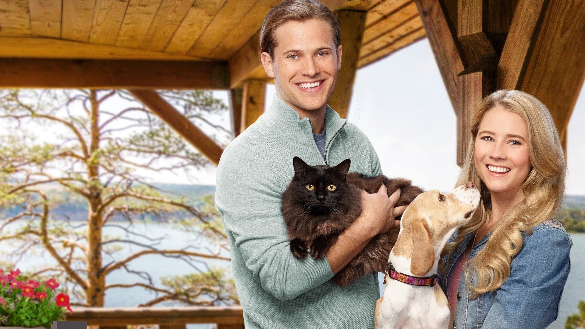 Backdrop of Like Cats & Dogs