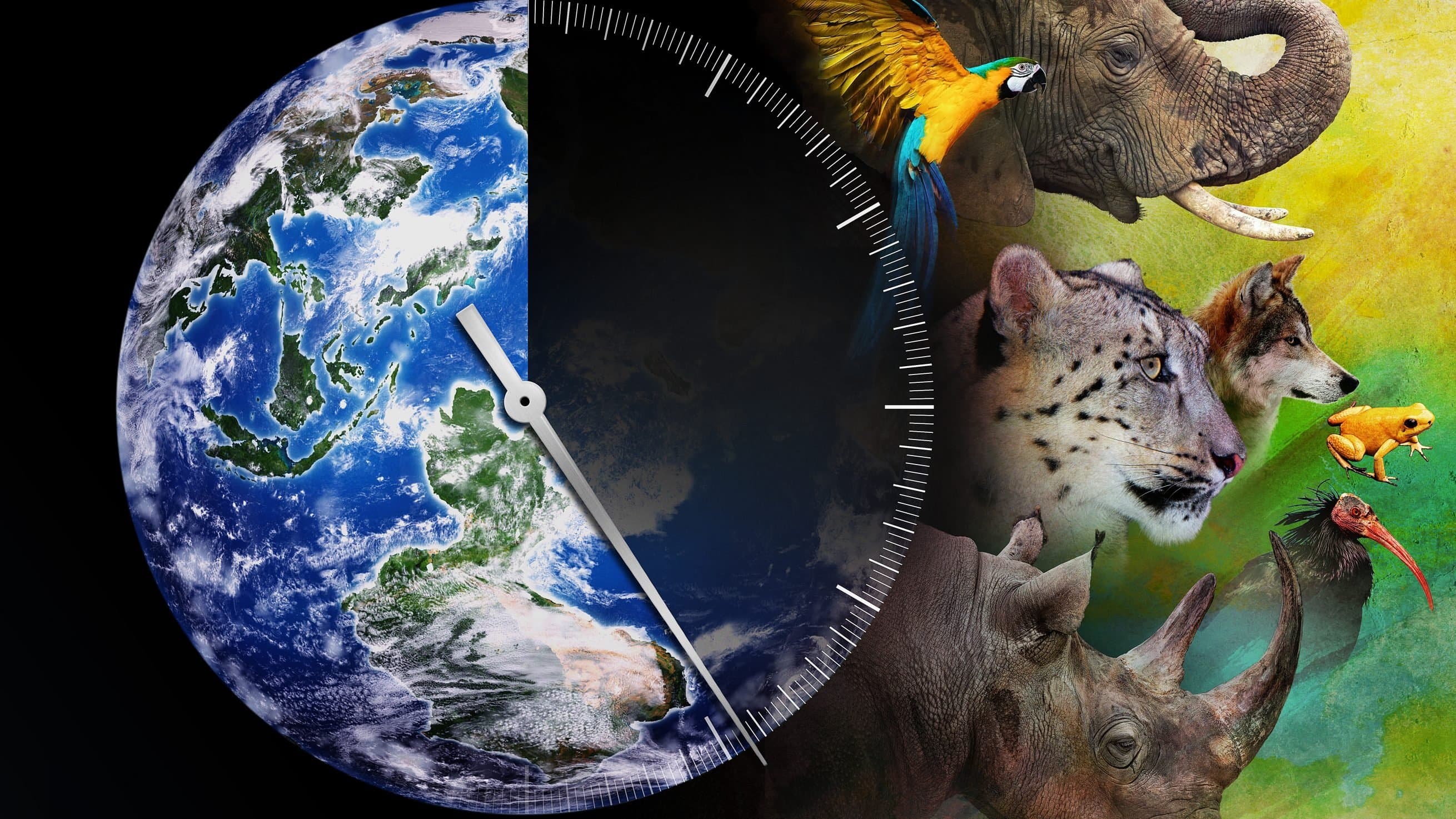 Backdrop of Racing Extinction