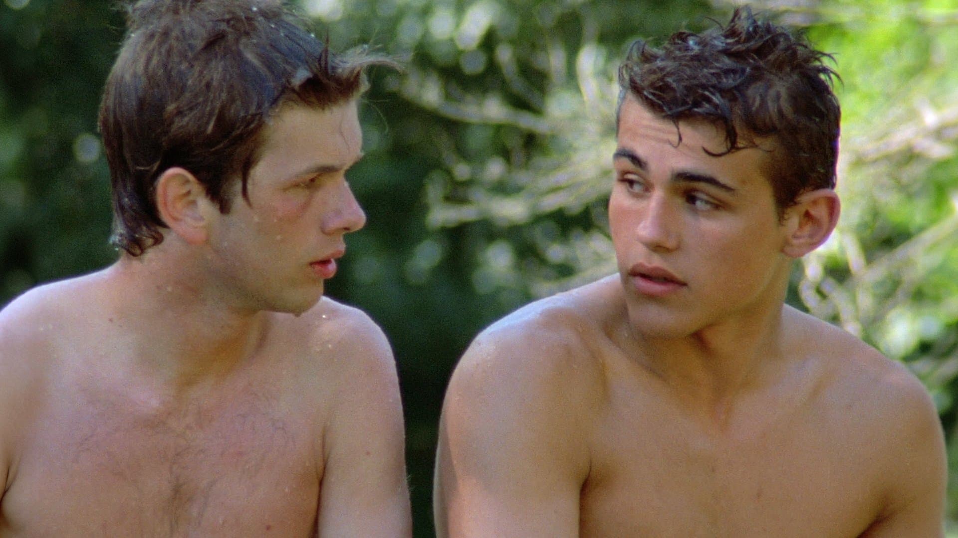 Backdrop of Wild Reeds