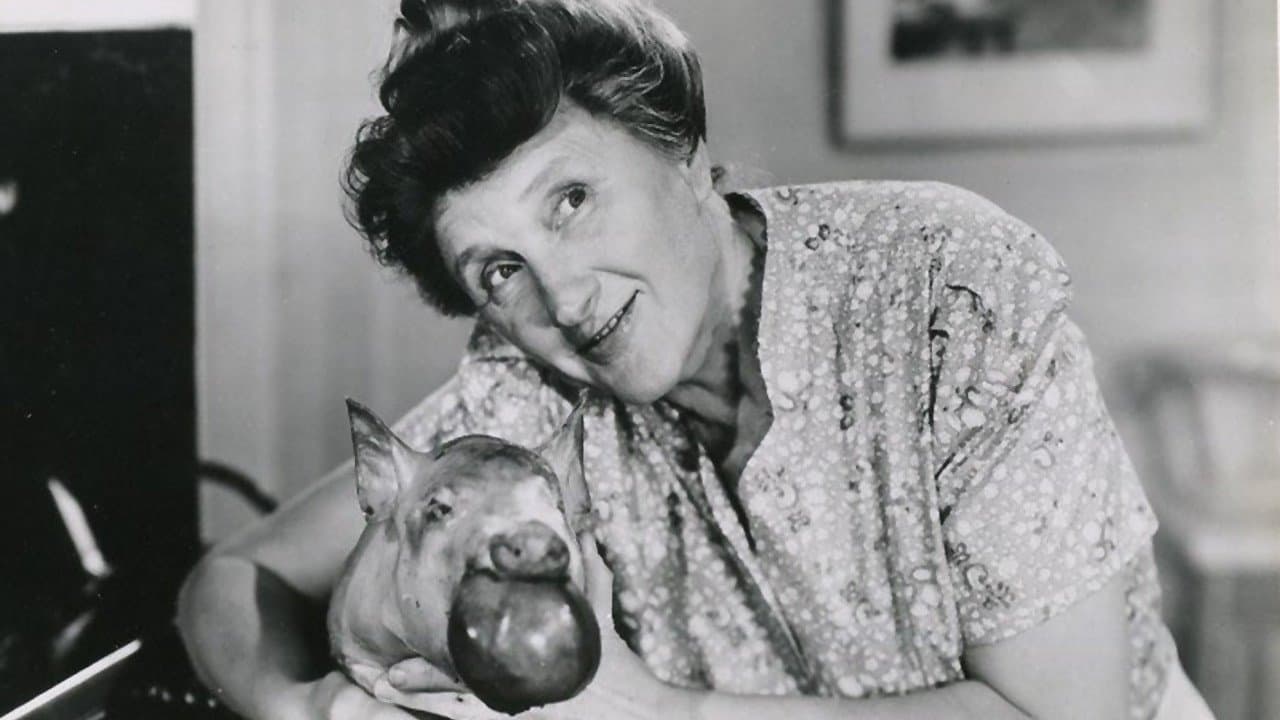 Backdrop of Ma and Pa Kettle Collection