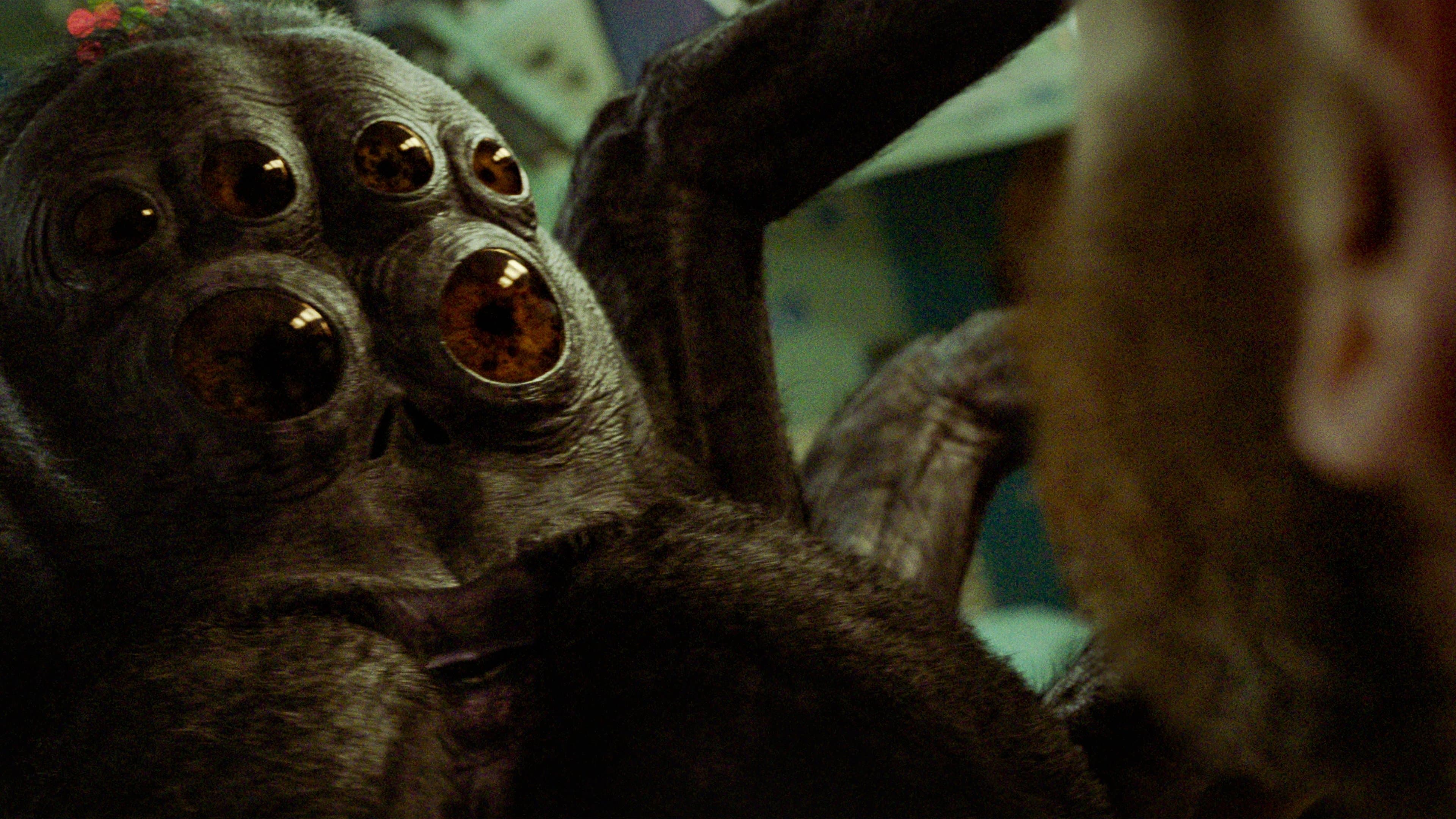 Backdrop of Spaceman