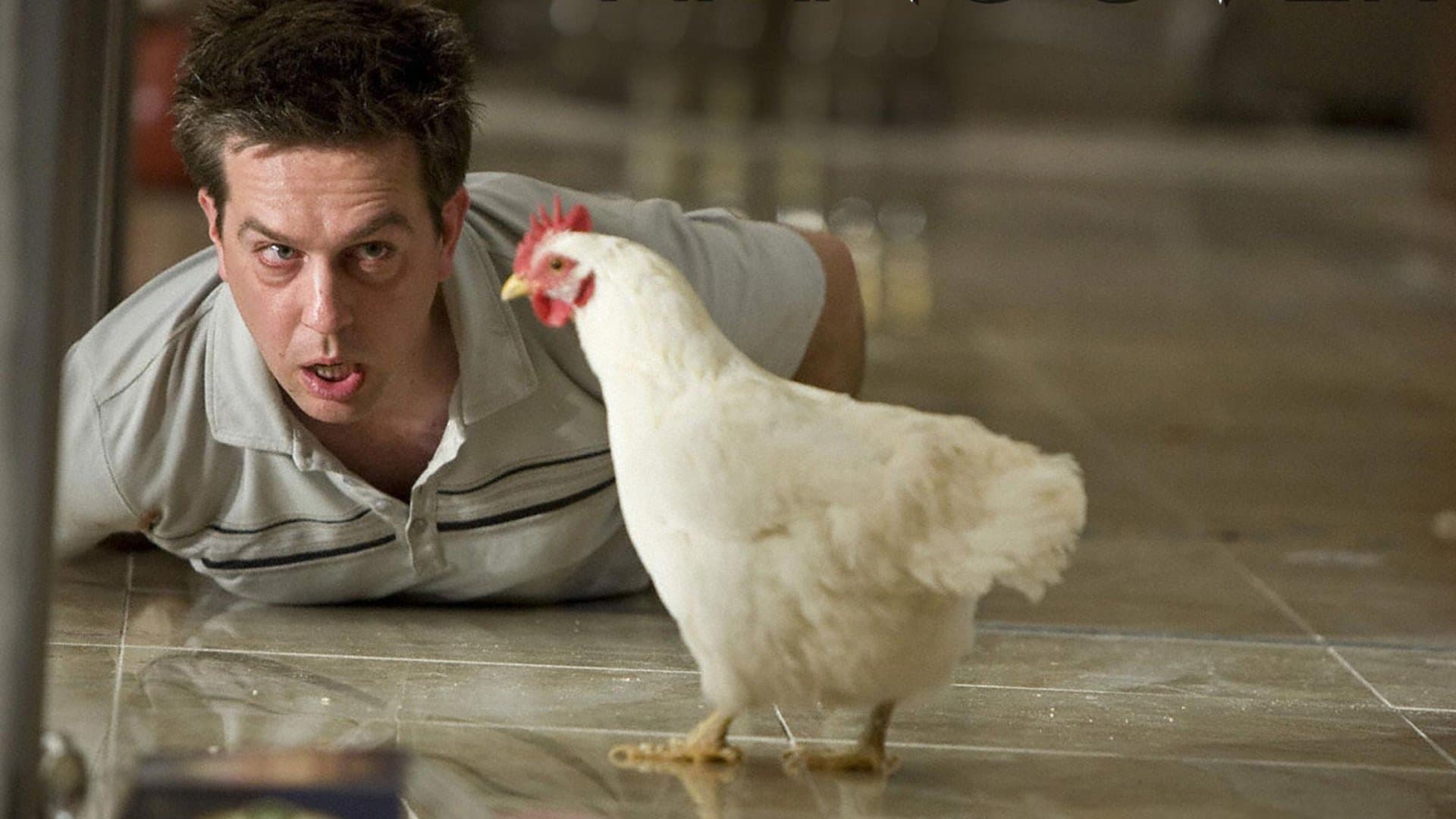 Backdrop of The Hangover Collection