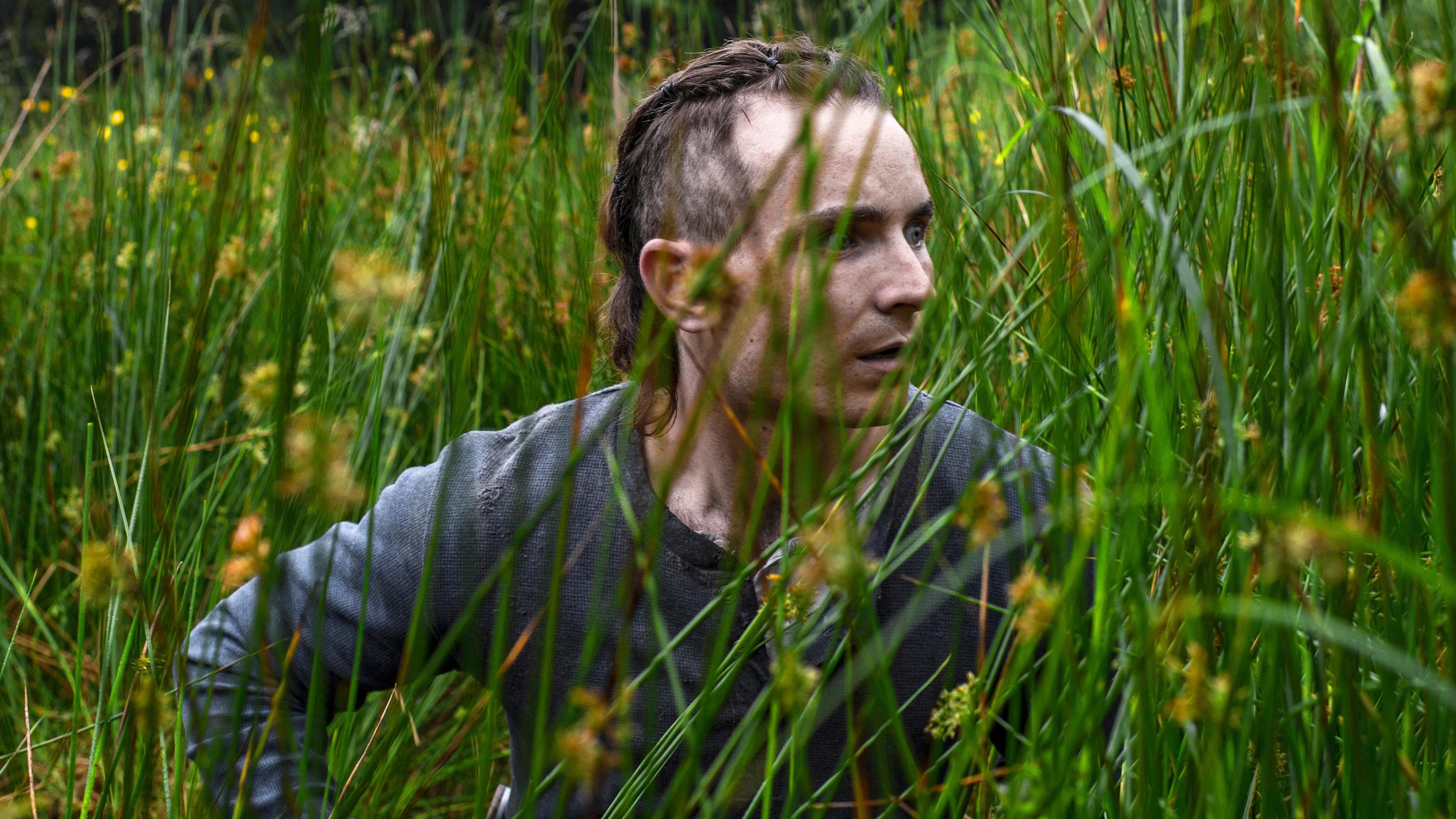 Backdrop of The Survivalist