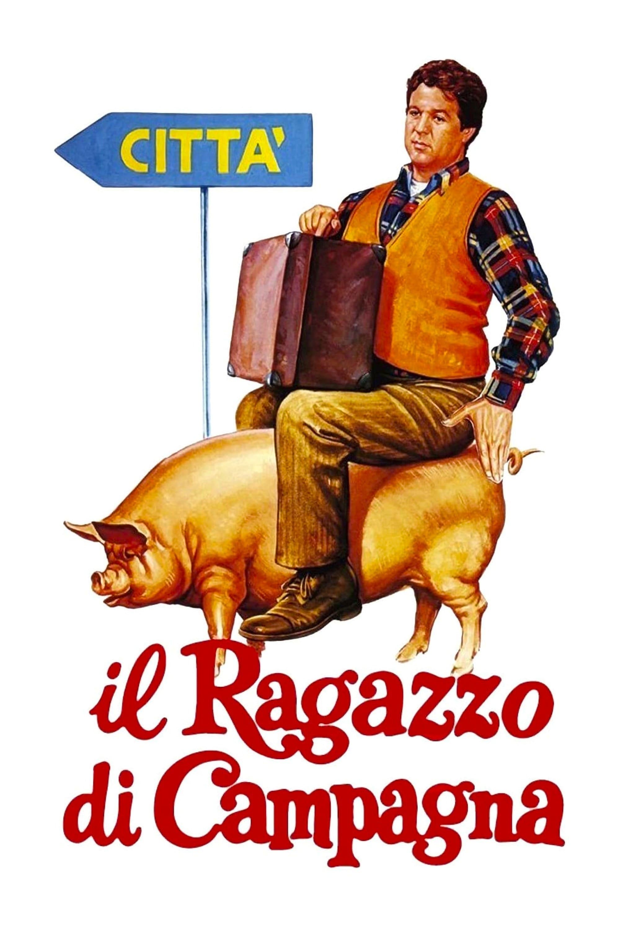 Poster of The Country Boy