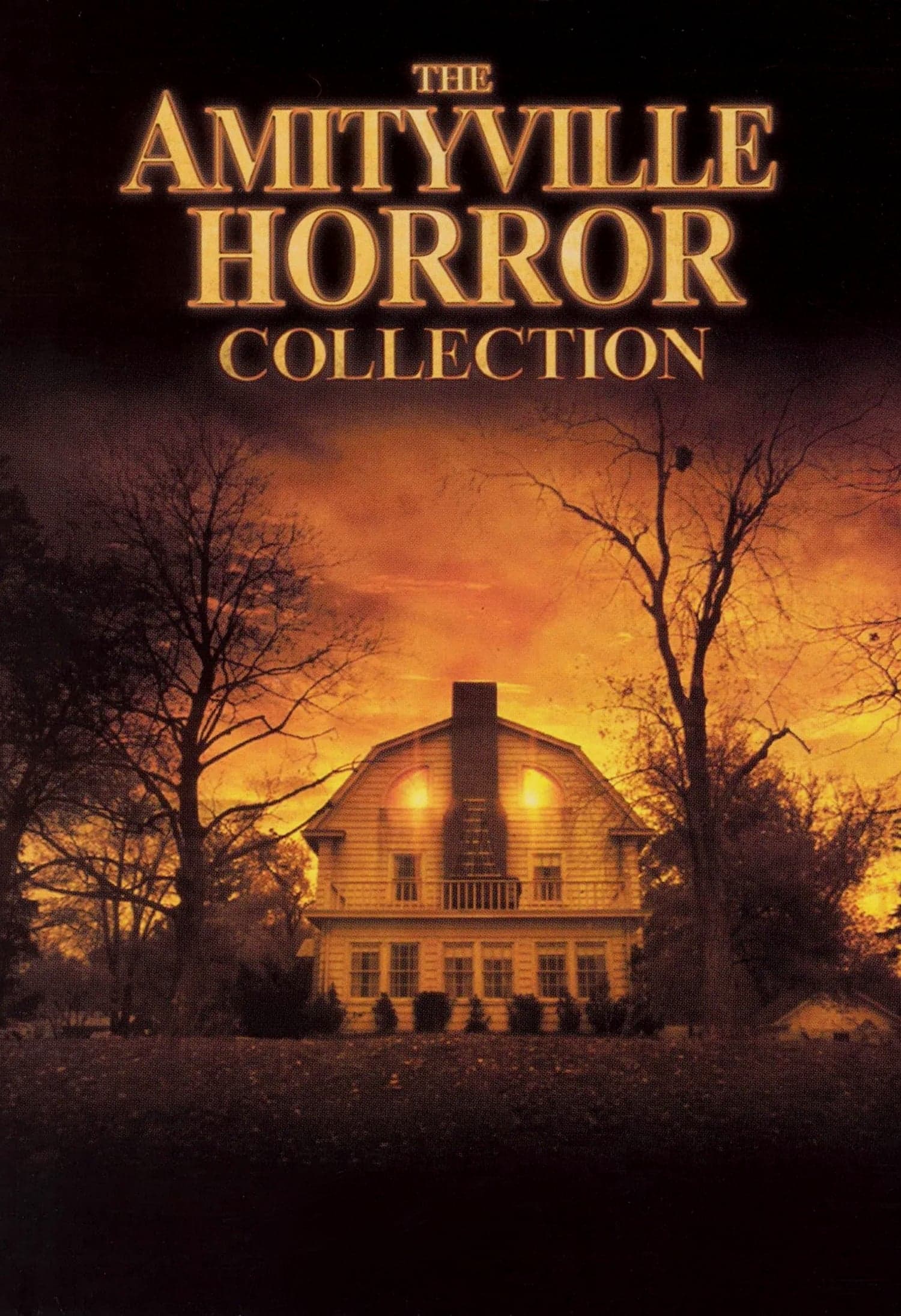 Poster of The Amityville Collection