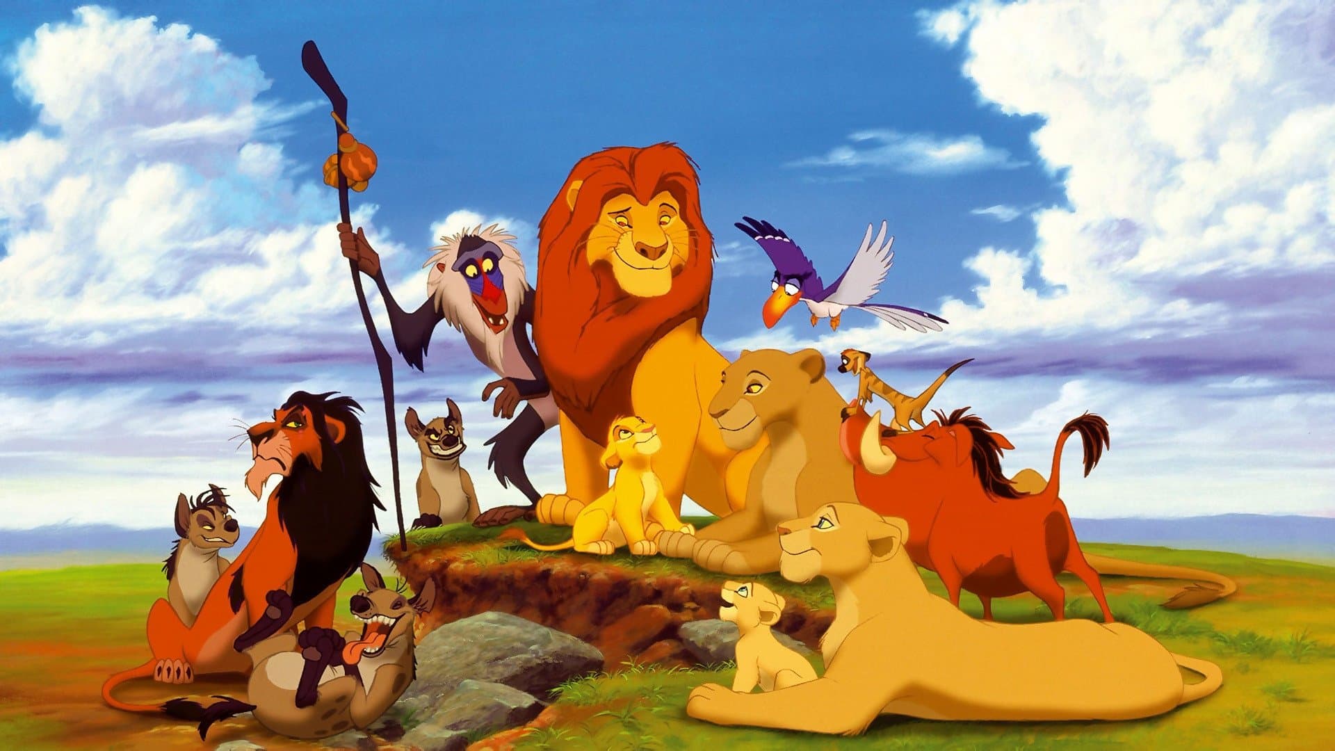 Backdrop of The Lion King Collection