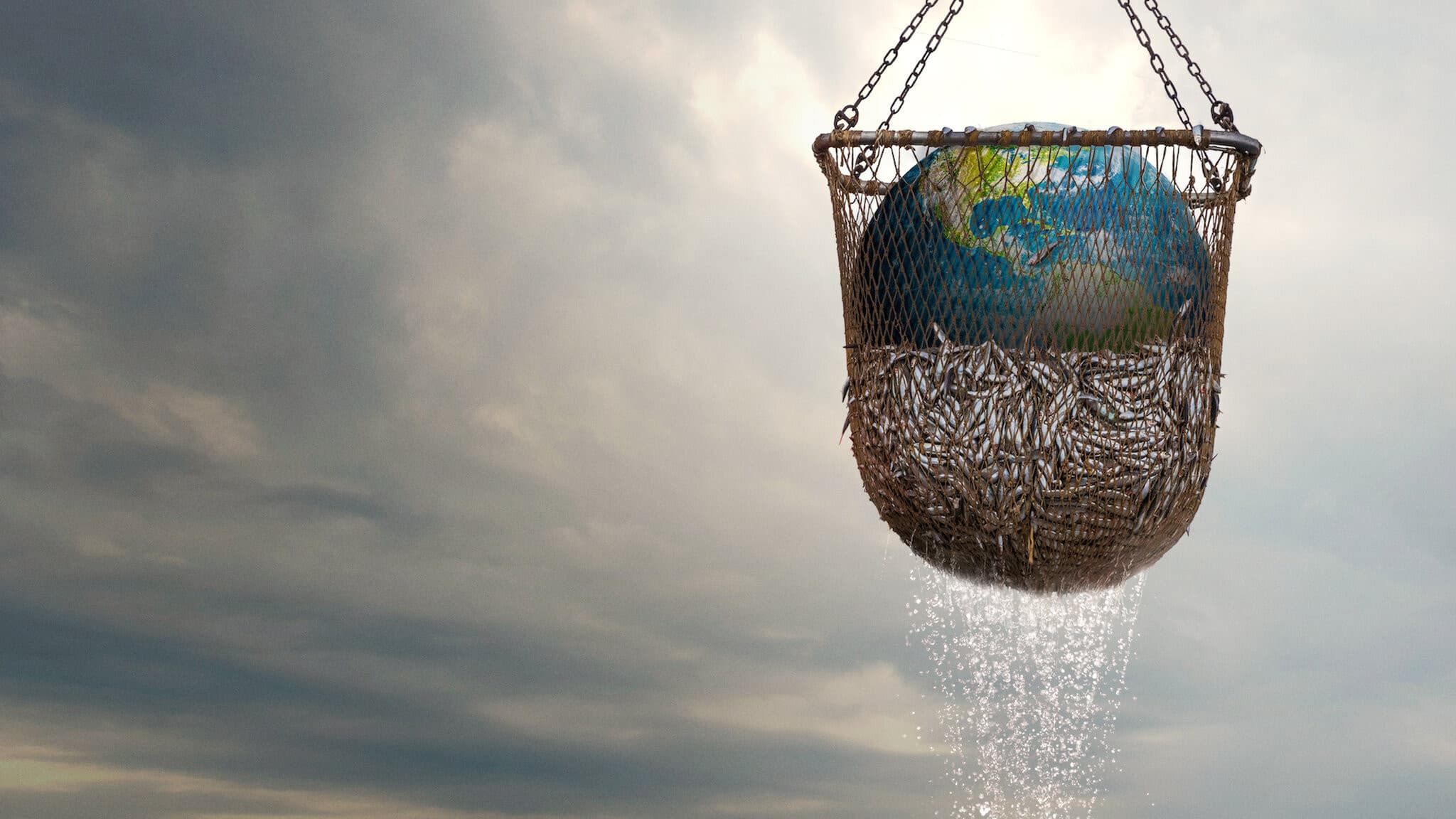 Backdrop of Seaspiracy