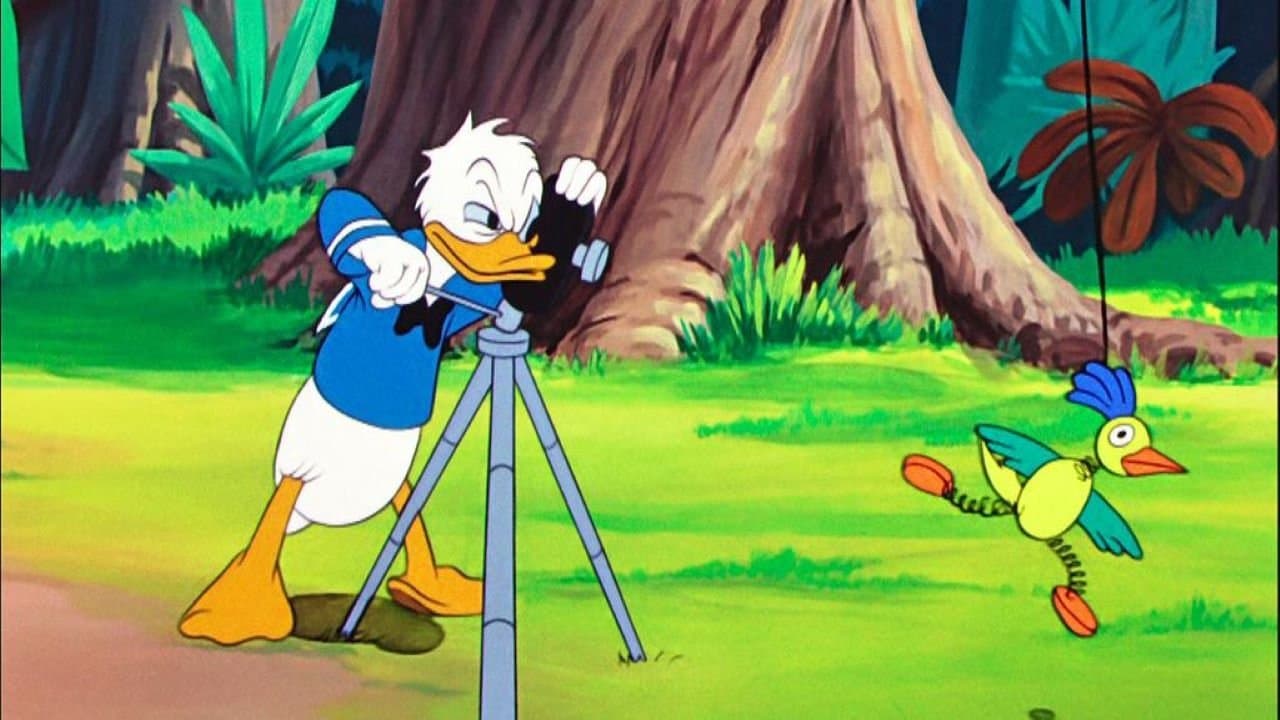 Backdrop of Clown of the Jungle