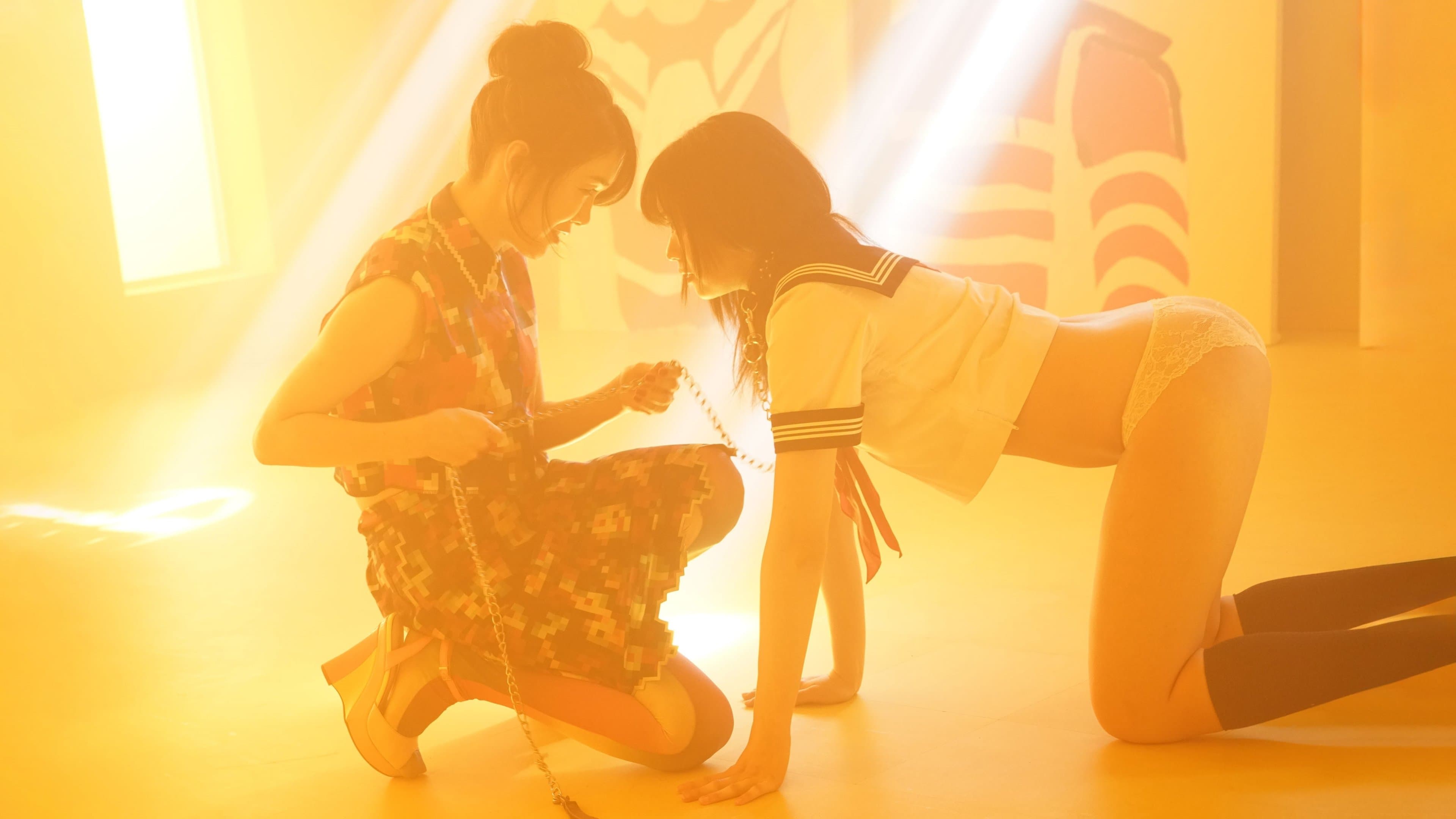 Backdrop of Antiporno