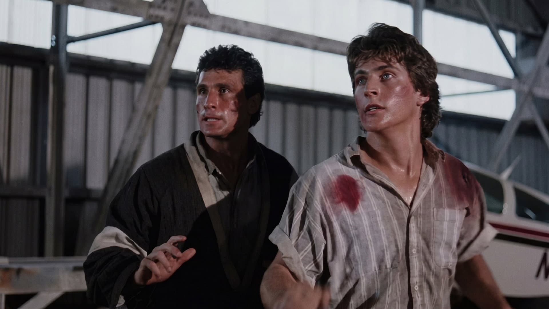 Backdrop of No Retreat, No Surrender 3: Blood Brothers