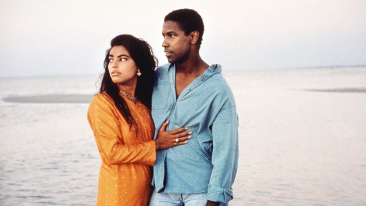 Backdrop of Mississippi Masala