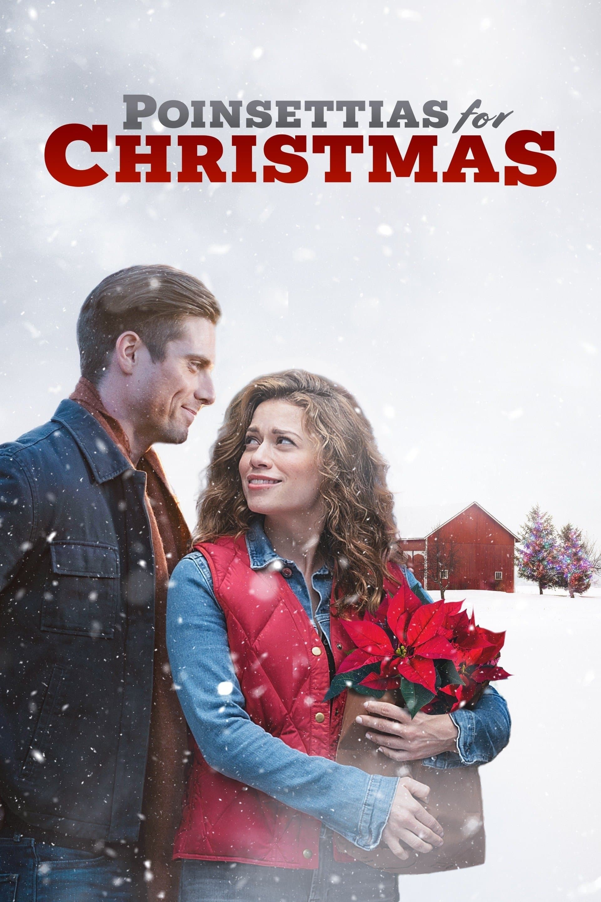 Poster of Poinsettias for Christmas