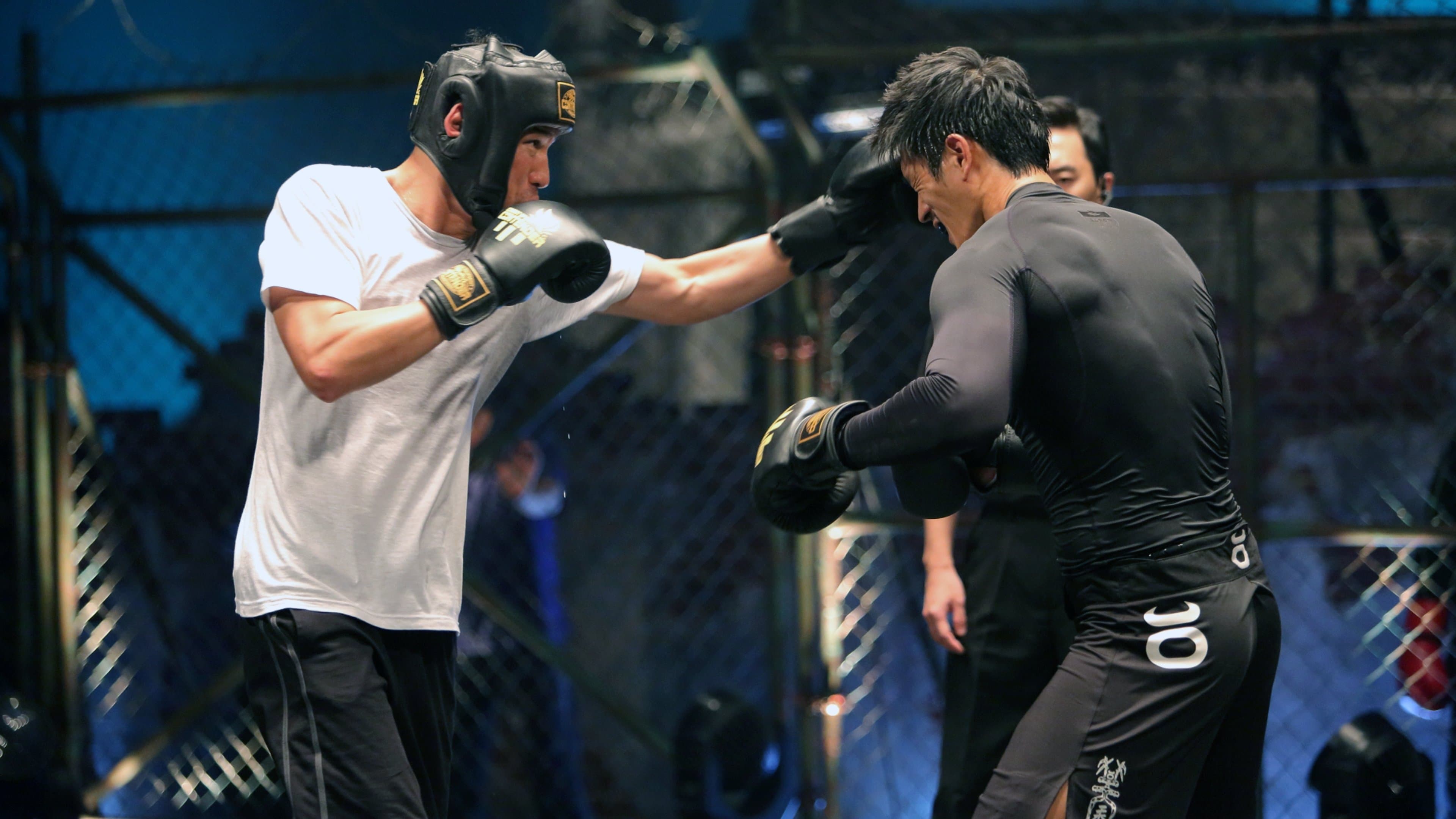 Backdrop of Fists of Legend