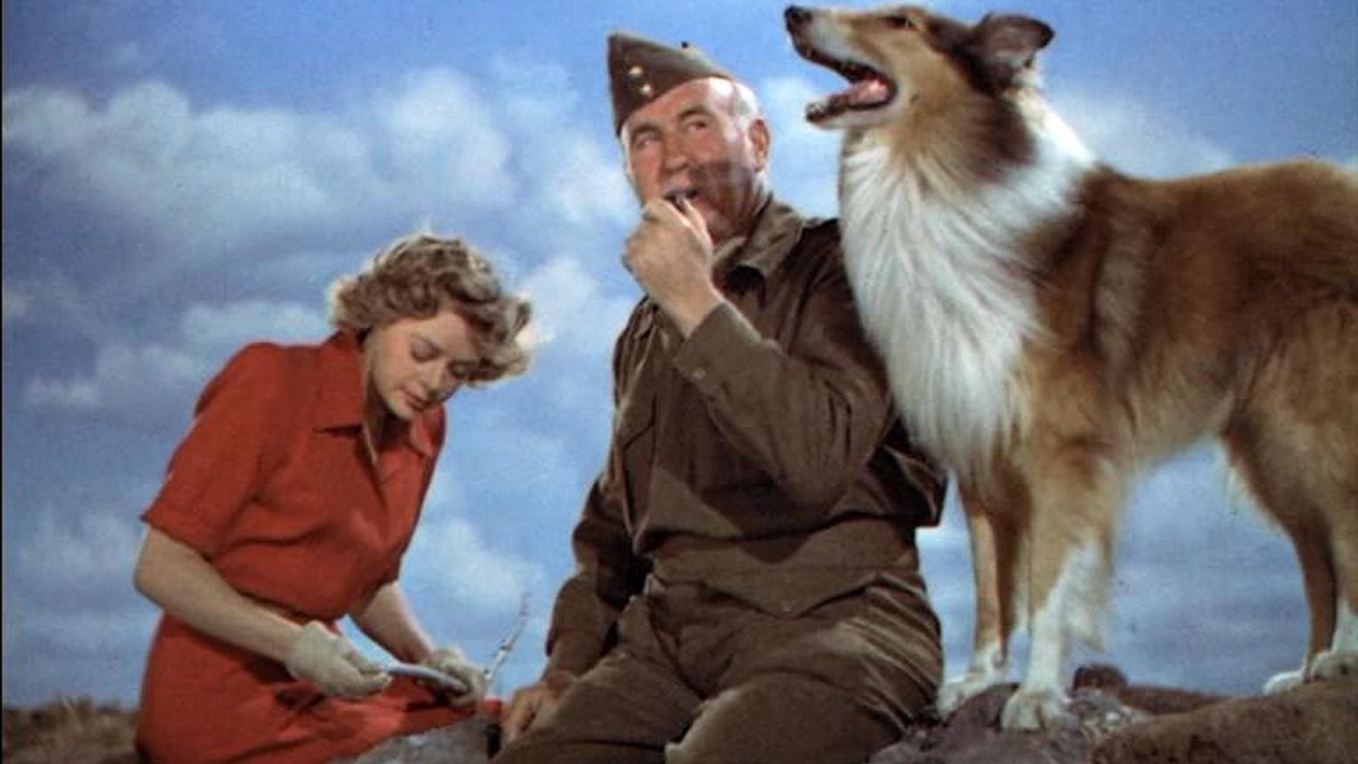 Backdrop of Son of Lassie