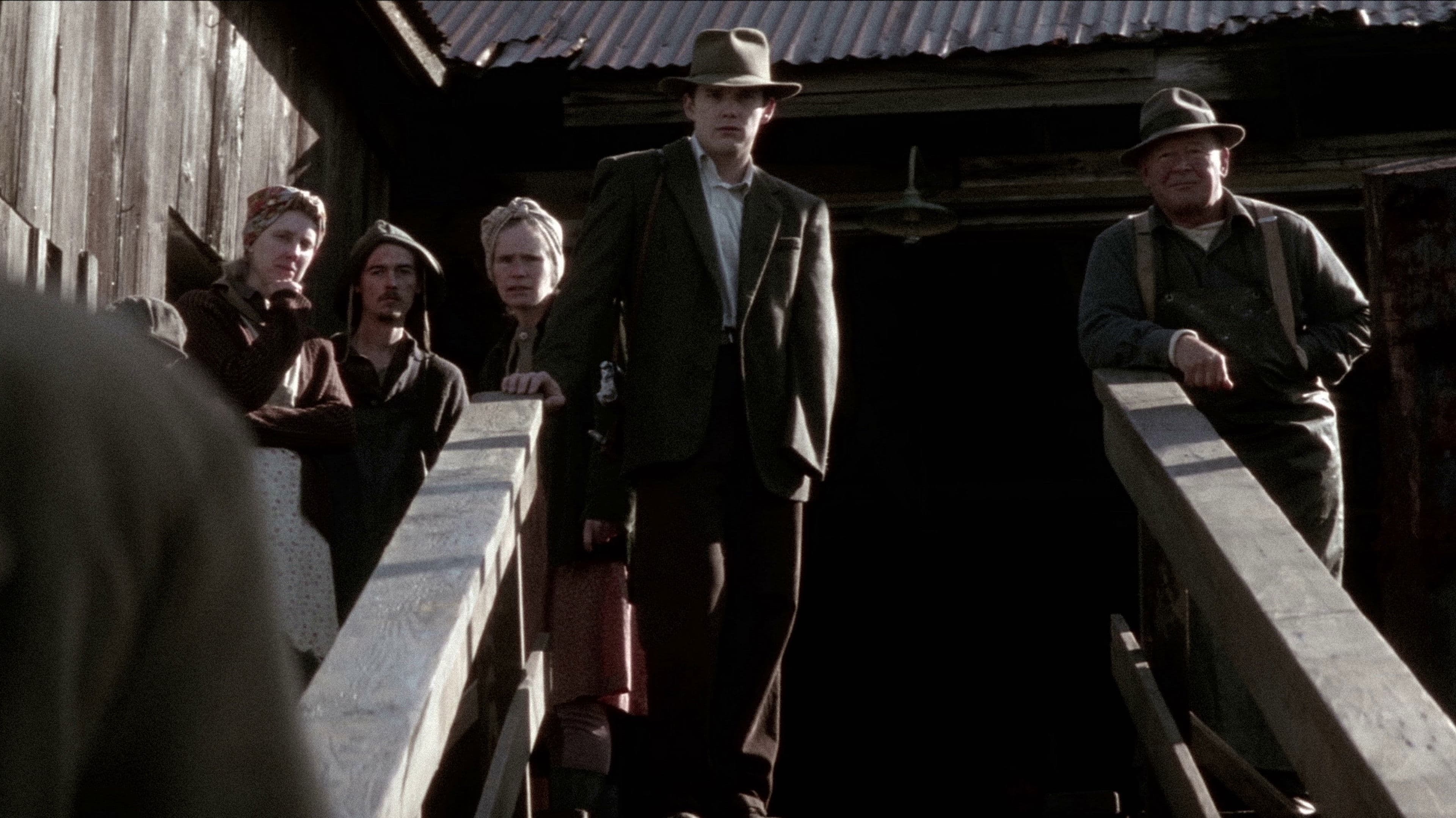 Backdrop of Snow Falling on Cedars