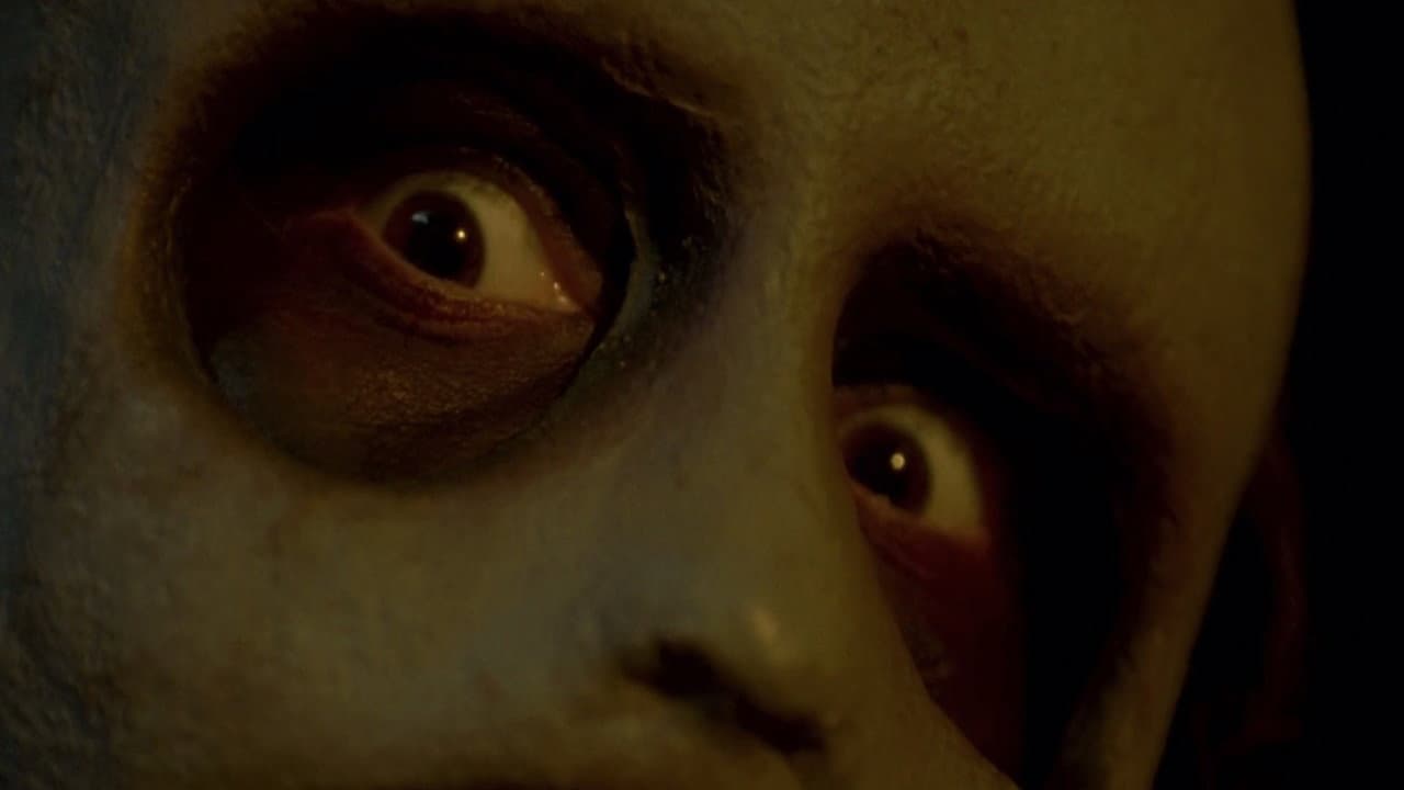 Backdrop of Behind the Mask II: The Return of Leslie Vernon