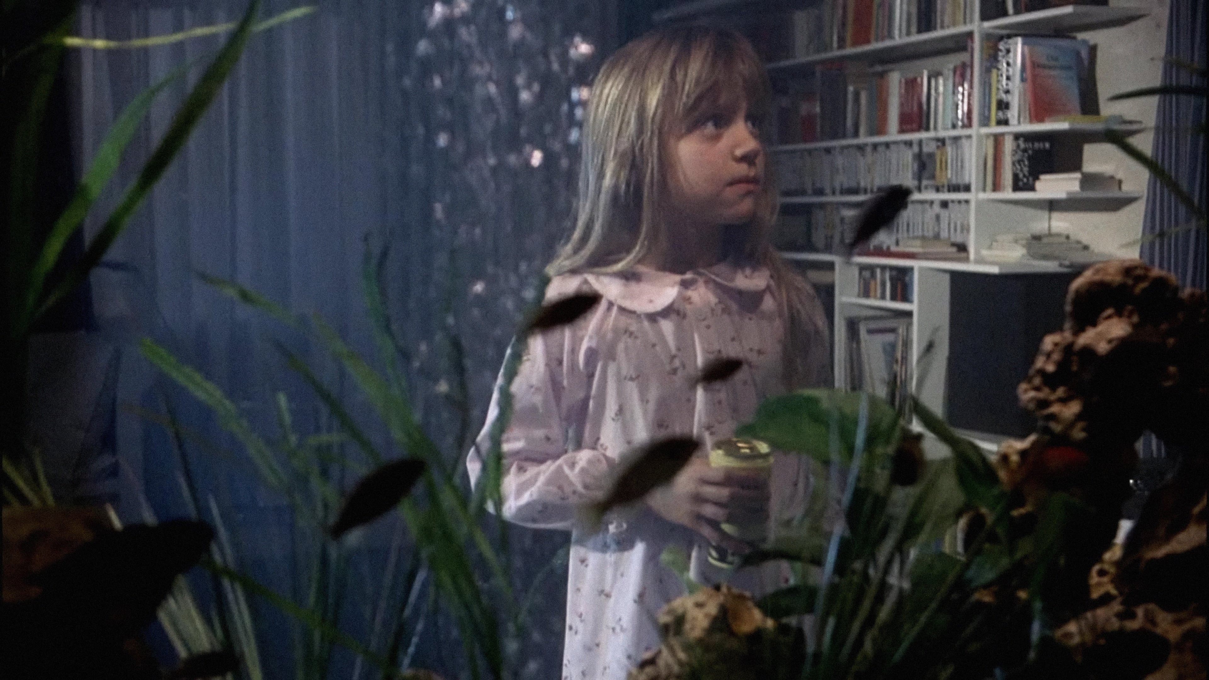 Backdrop of The Seventh Continent